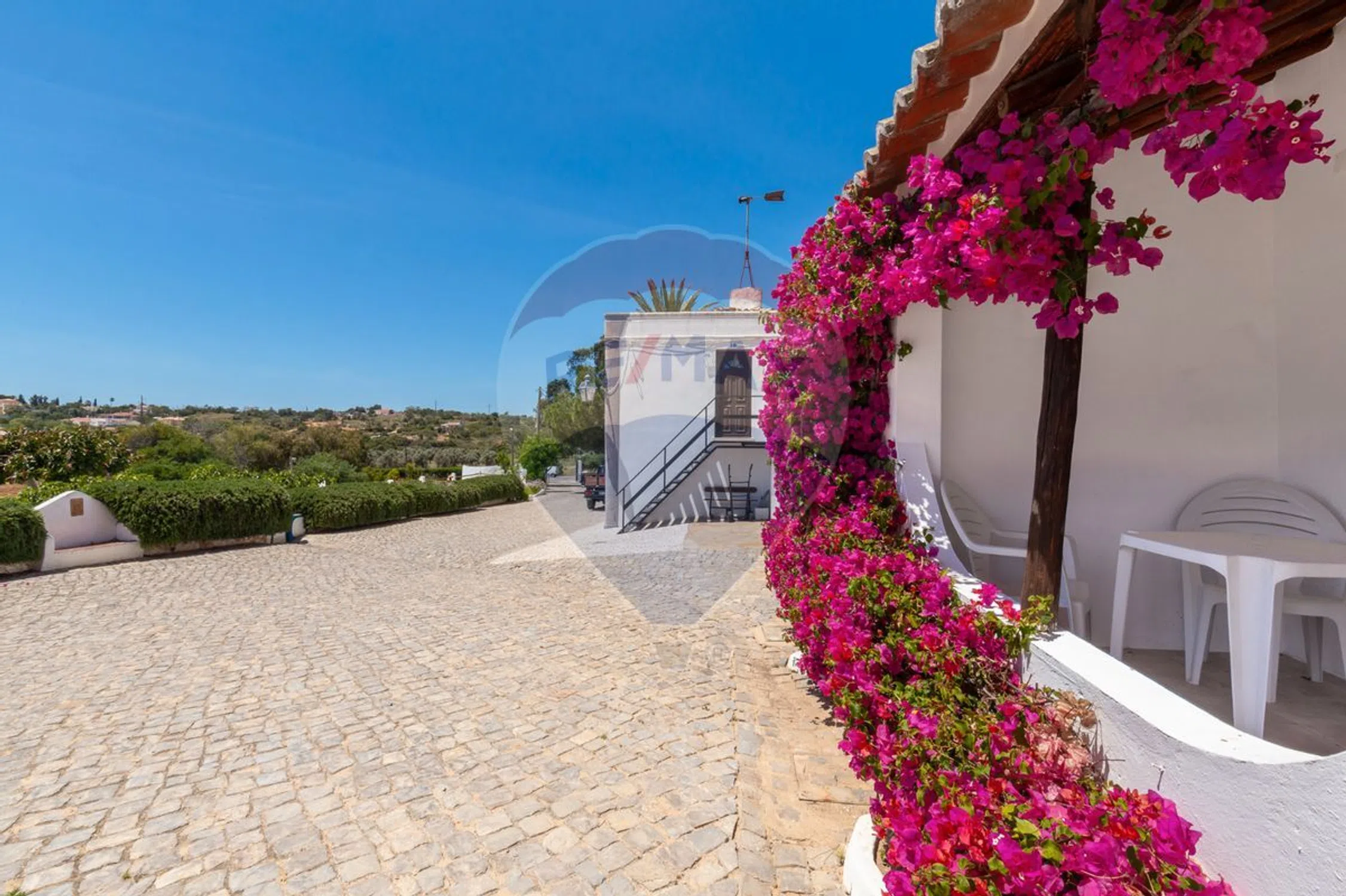 Quinta - Photo 4
