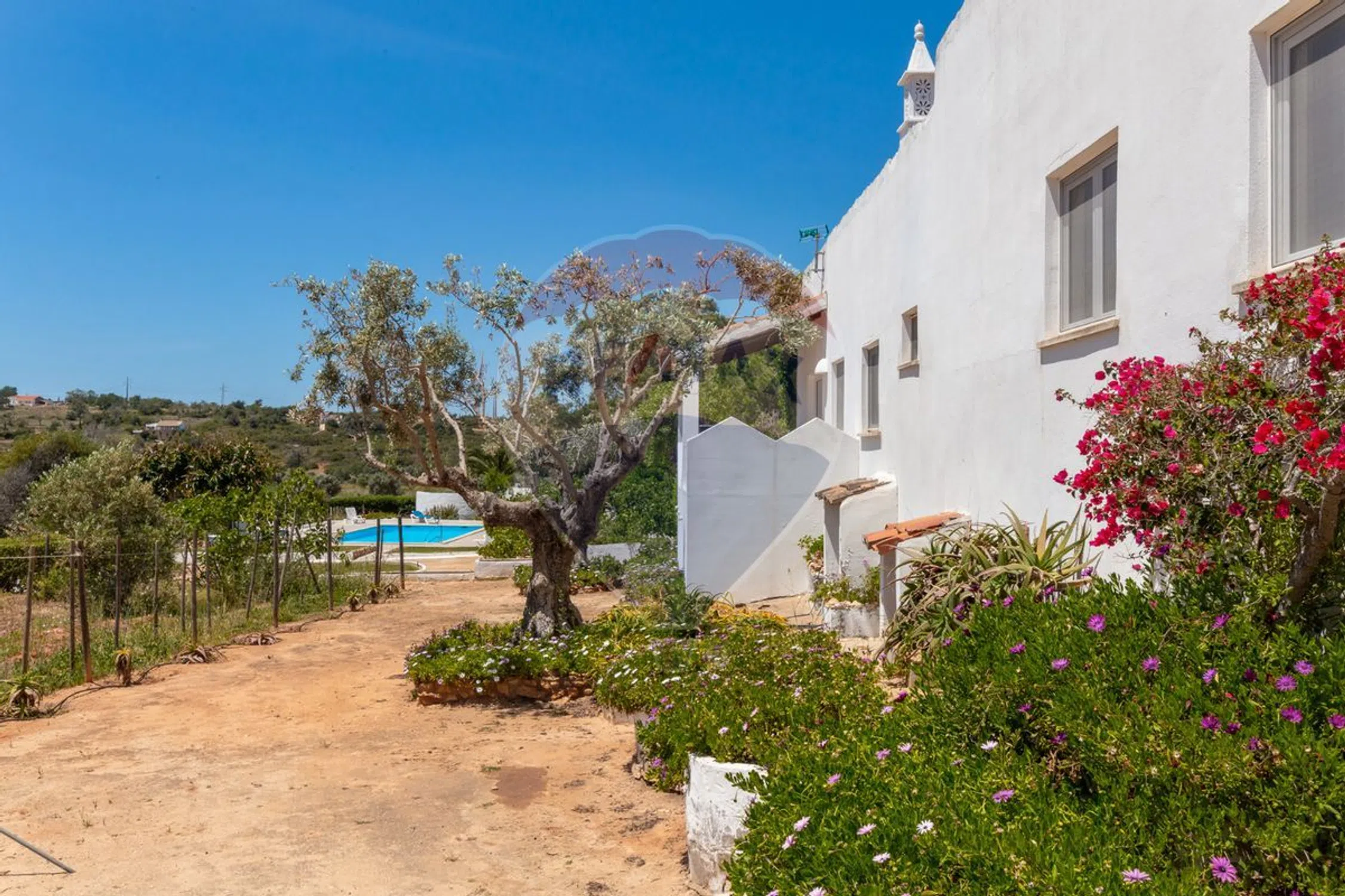 Quinta - Photo 5