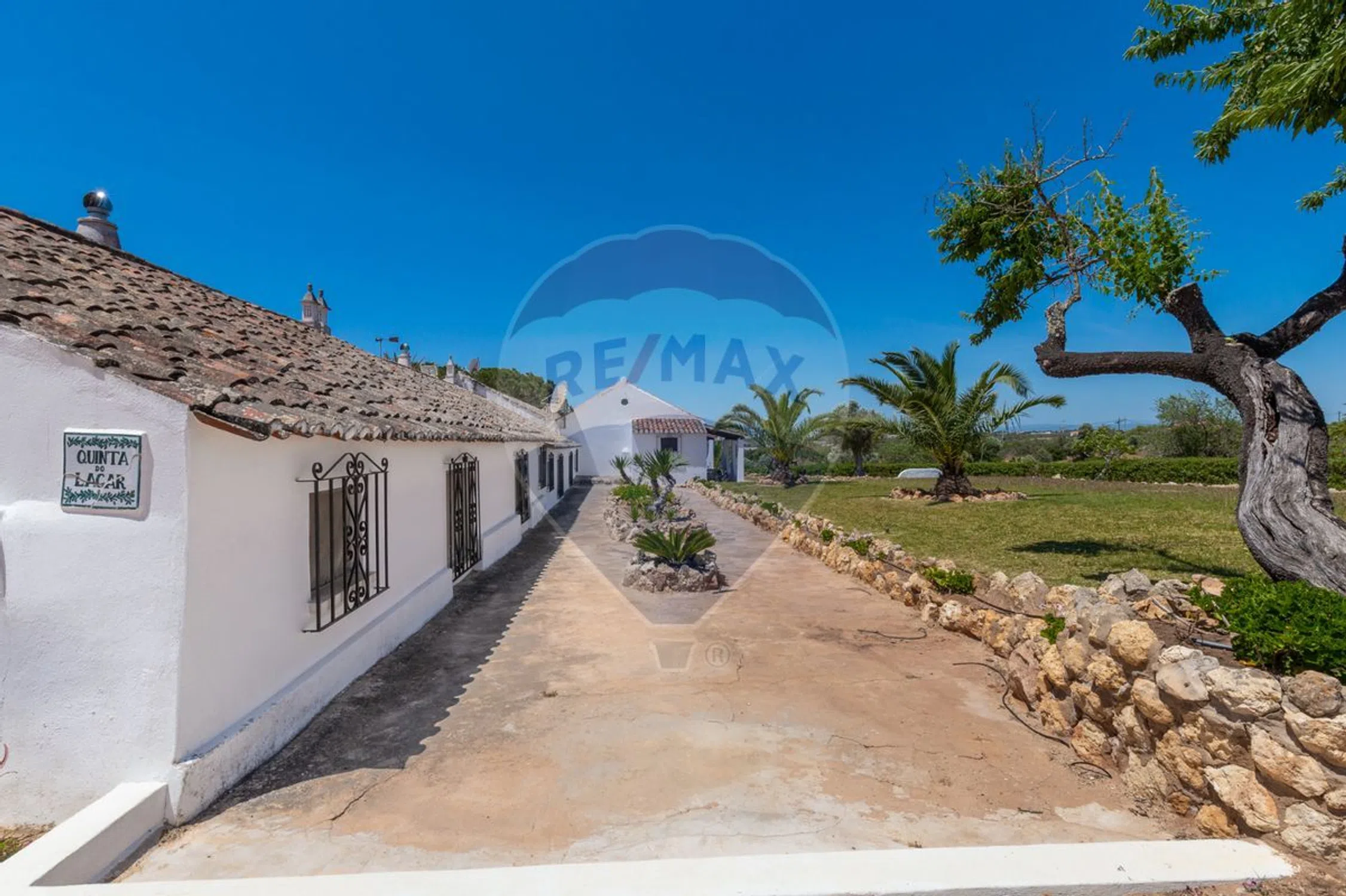 Quinta - Photo 7