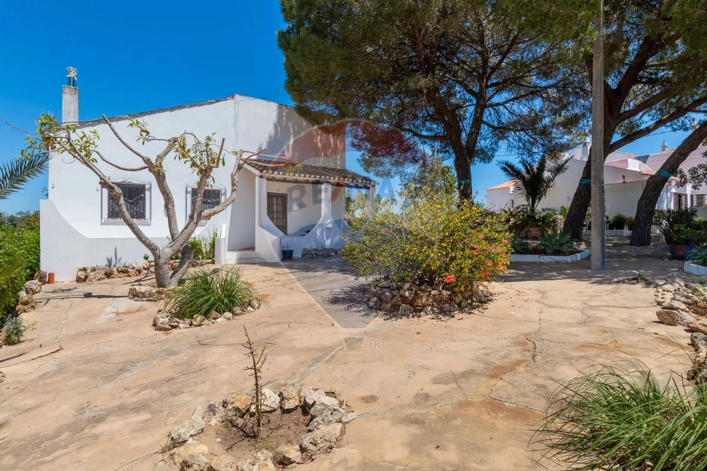 Quinta - Photo 10