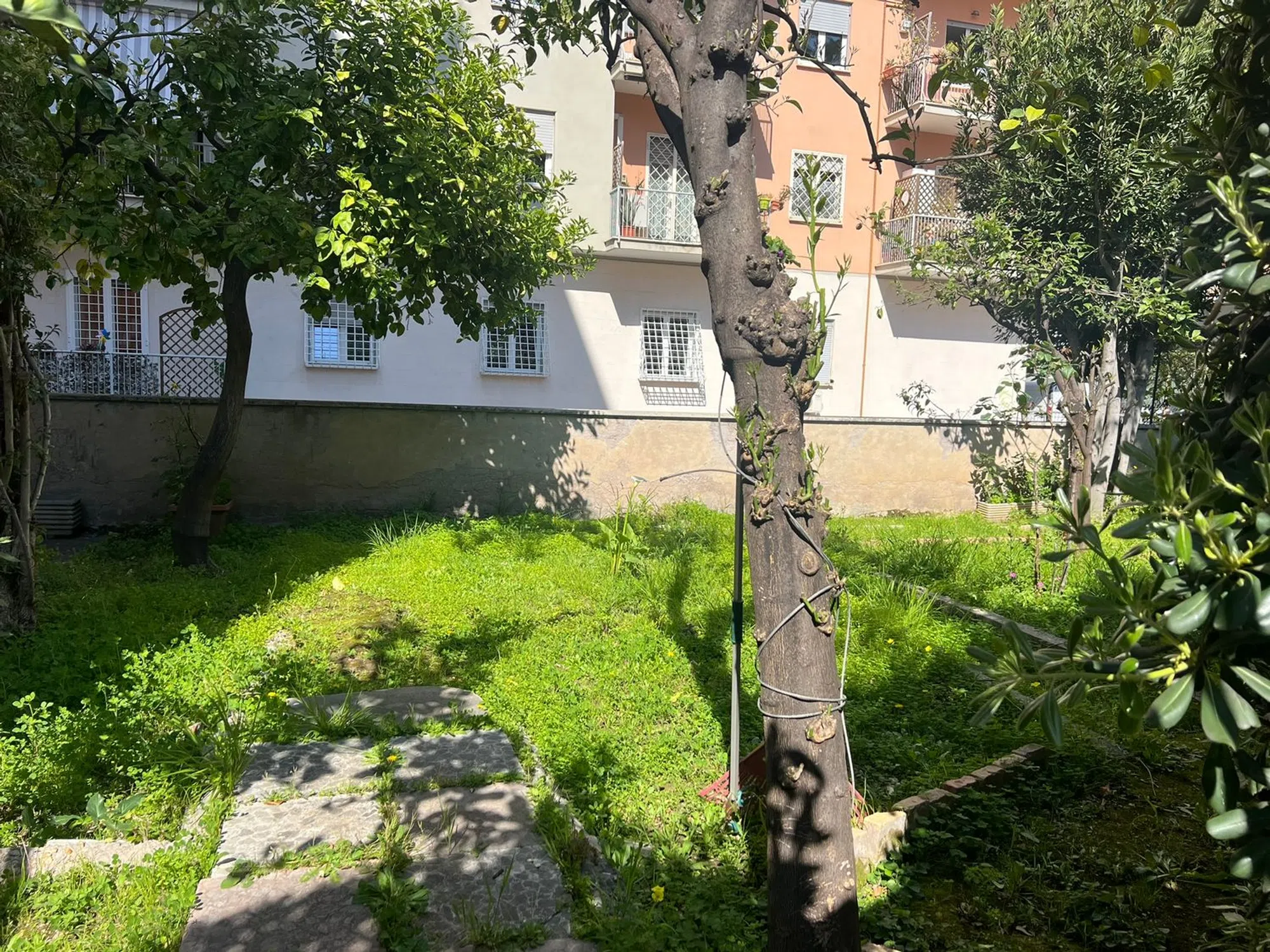 Appartamento in via del Casale de Merode, 7 - Photo 6