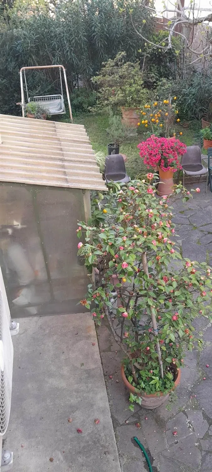 Appartamento in via Giuseppe Galliano s.n.c. - Photo 14