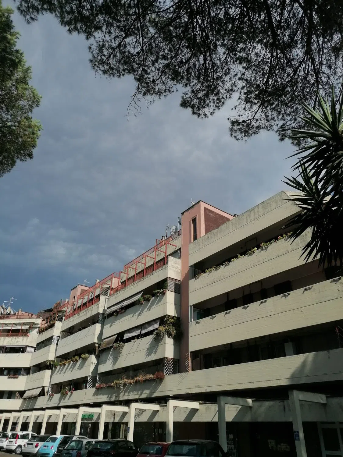 Trilocale in via Polia, 28 - Photo 4