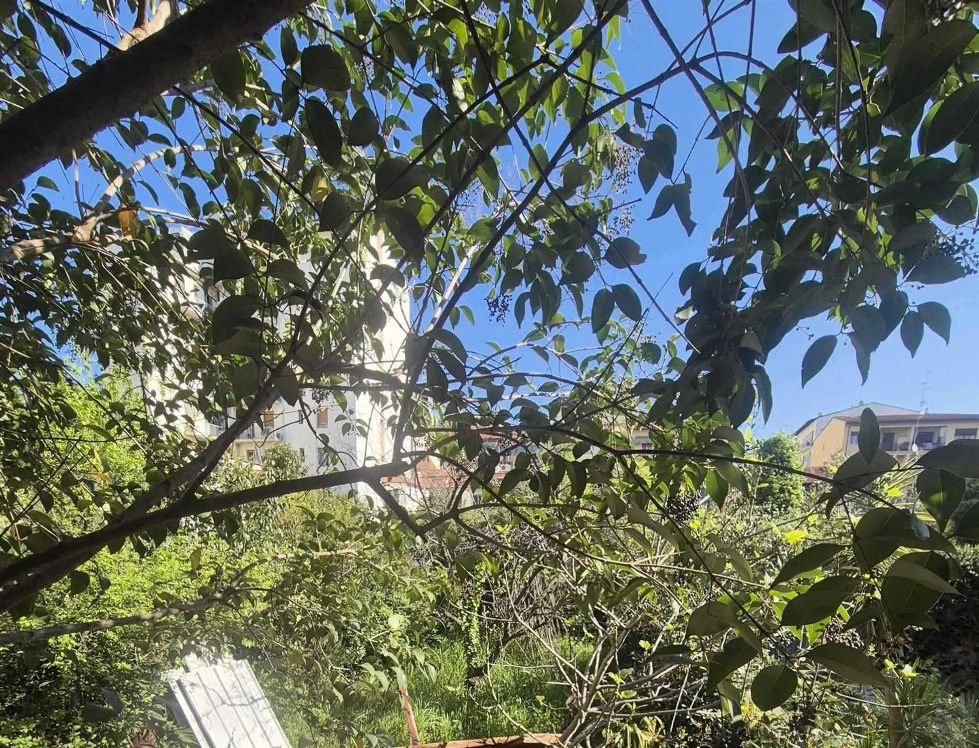 Casa indipendente - Photo 1