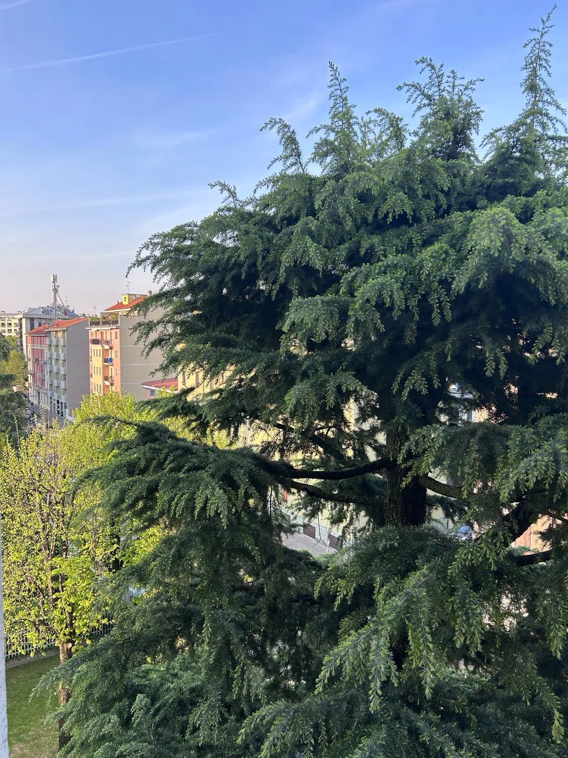 Trilocale in via Privata Ferdinando Lassalle, 14 - Photo 3