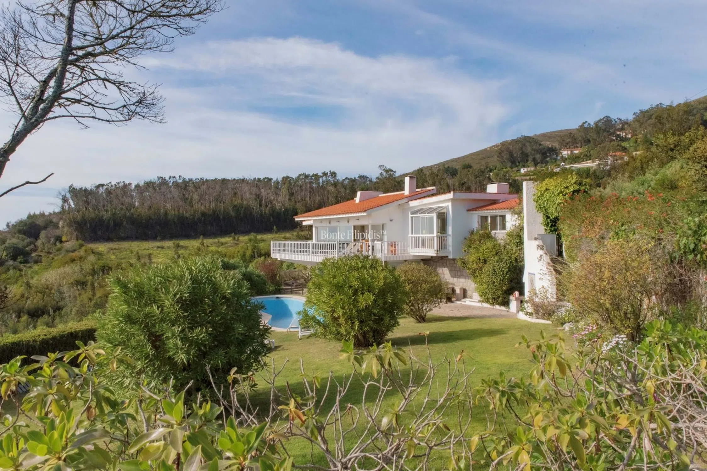 Moradia - Photo 3