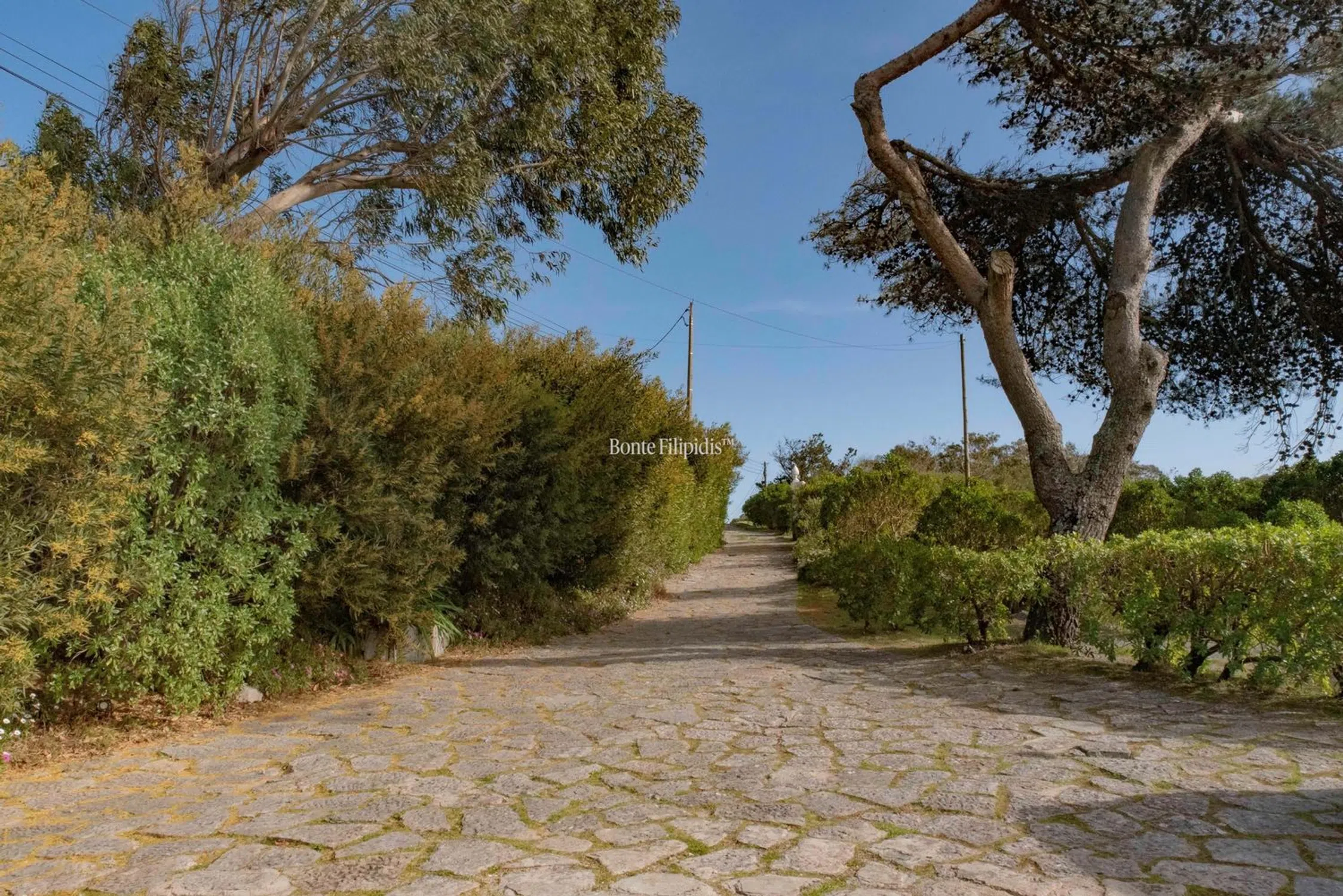 Moradia - Photo 5