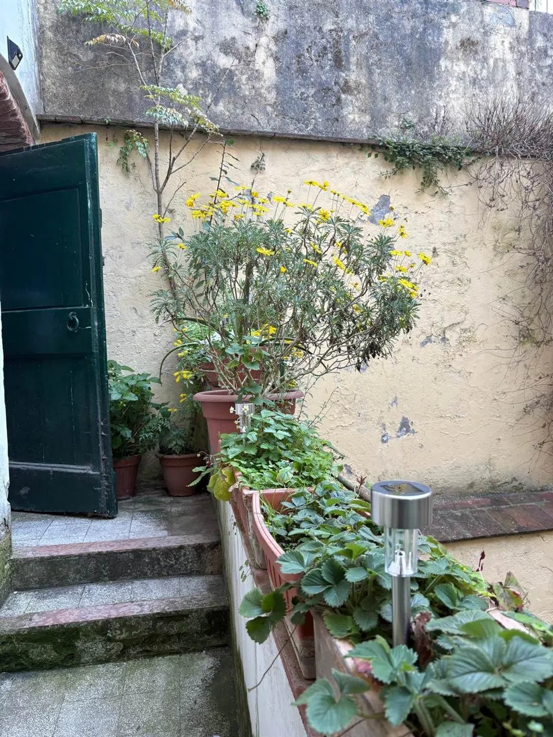 Appartamento in Lungarno Torrigiani s.n.c. - Photo 3