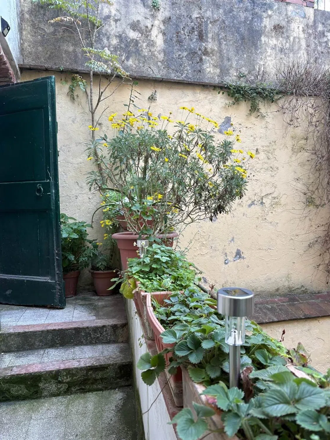 Appartamento in Lungarno Torrigiani s.n.c. - Photo 4