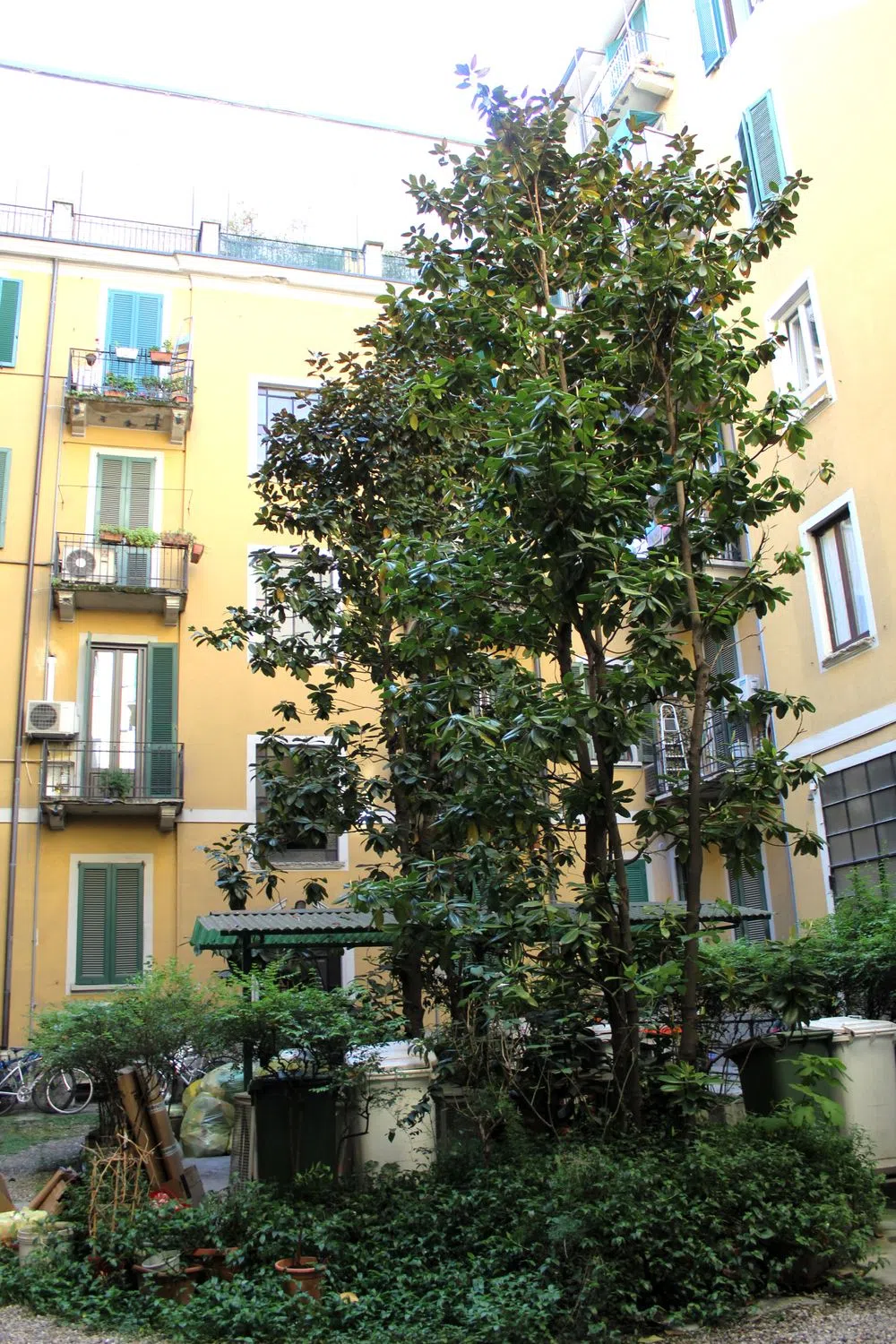 Attico in via Casoretto, 60 - Photo 3