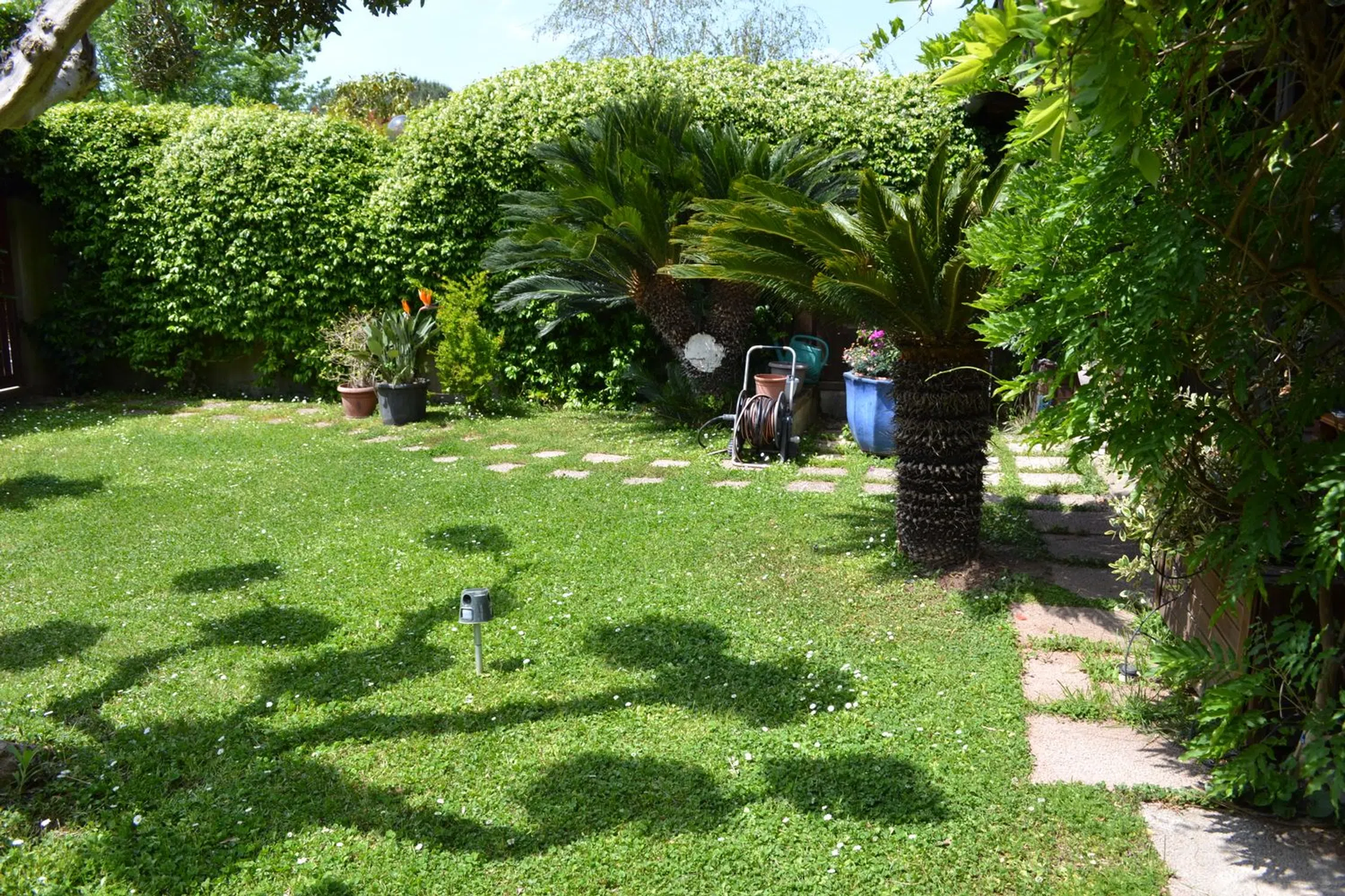 Appartamento su due piani in via Andrea Millevoi, 763 - Photo 6