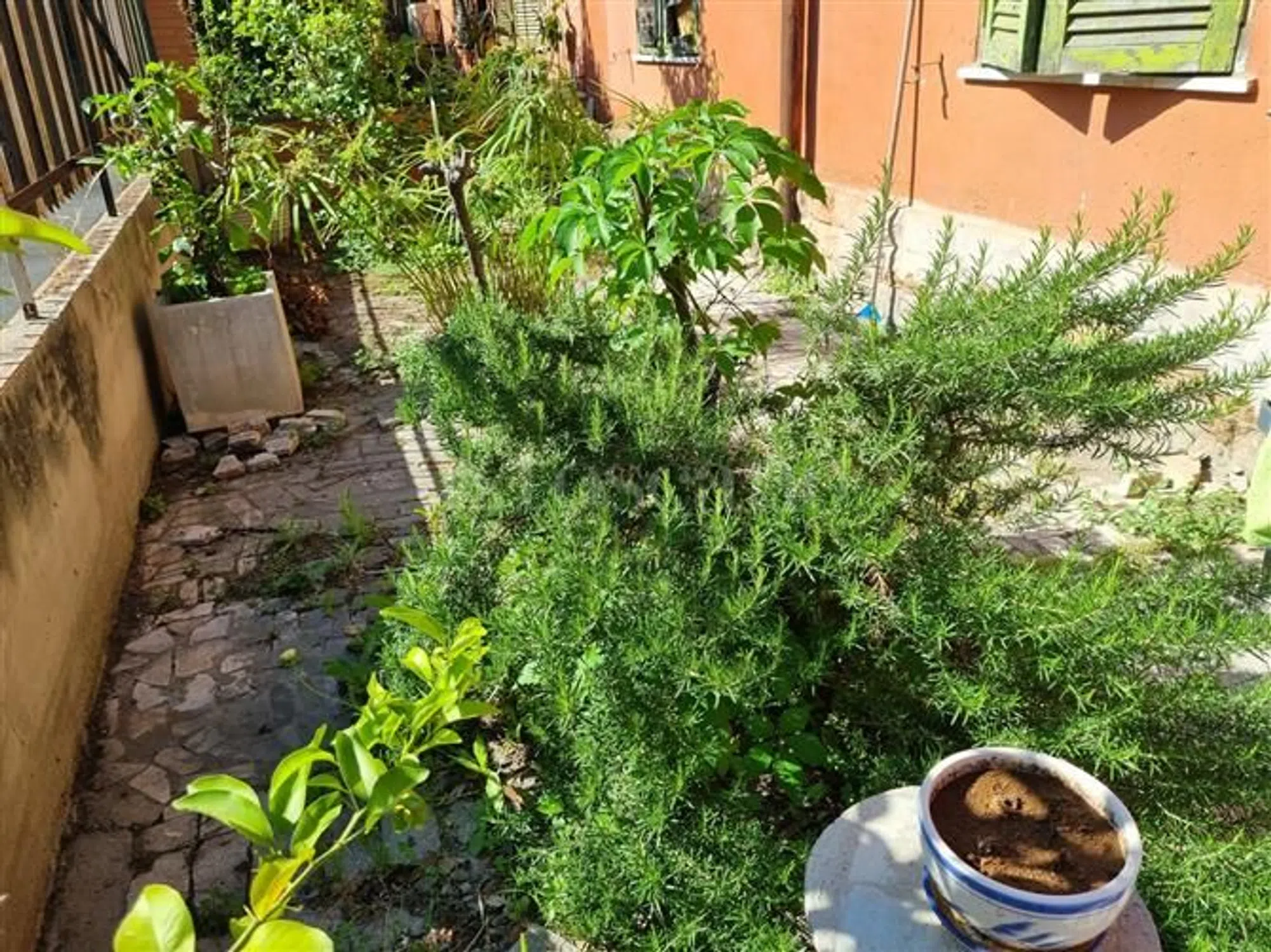Casale/cascina in via Giovanni Mazzucconi - Photo 4