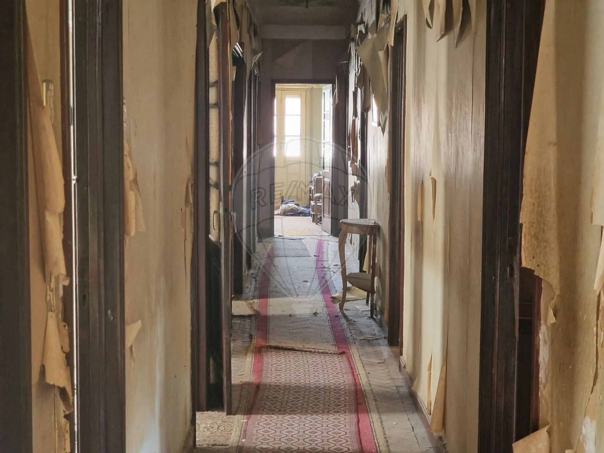 Apartamento - Photo 17