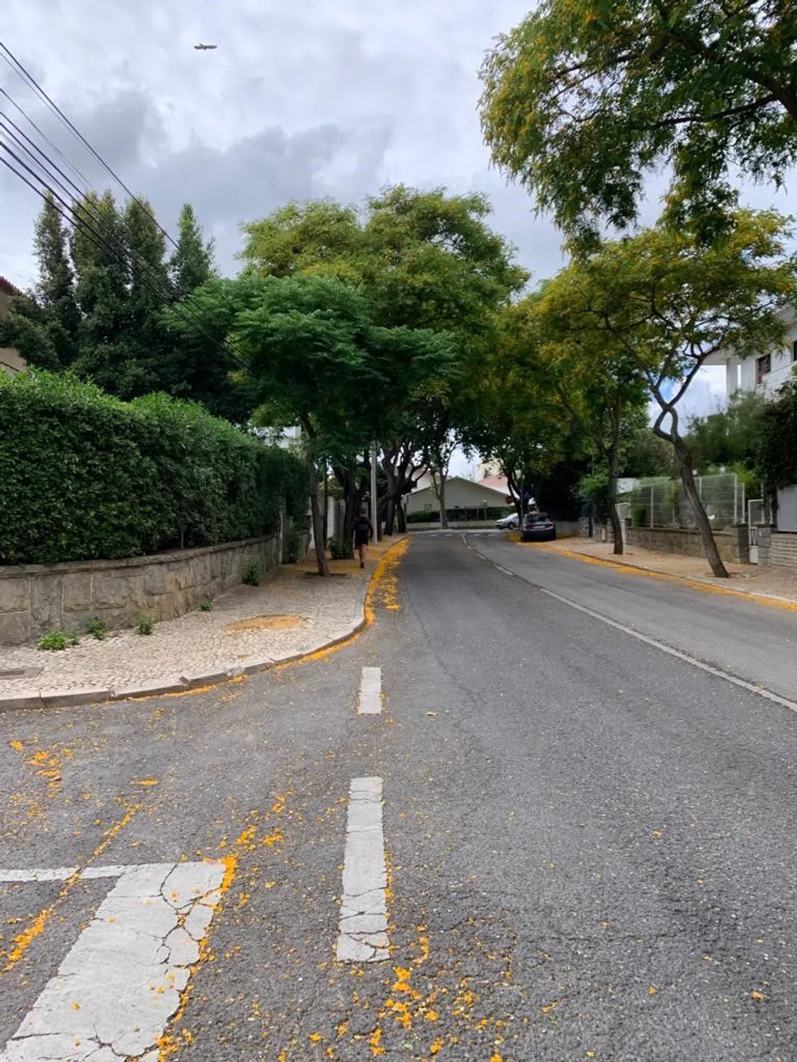 Andar de moradia na rua Hermano Neves, 105 - Photo 20