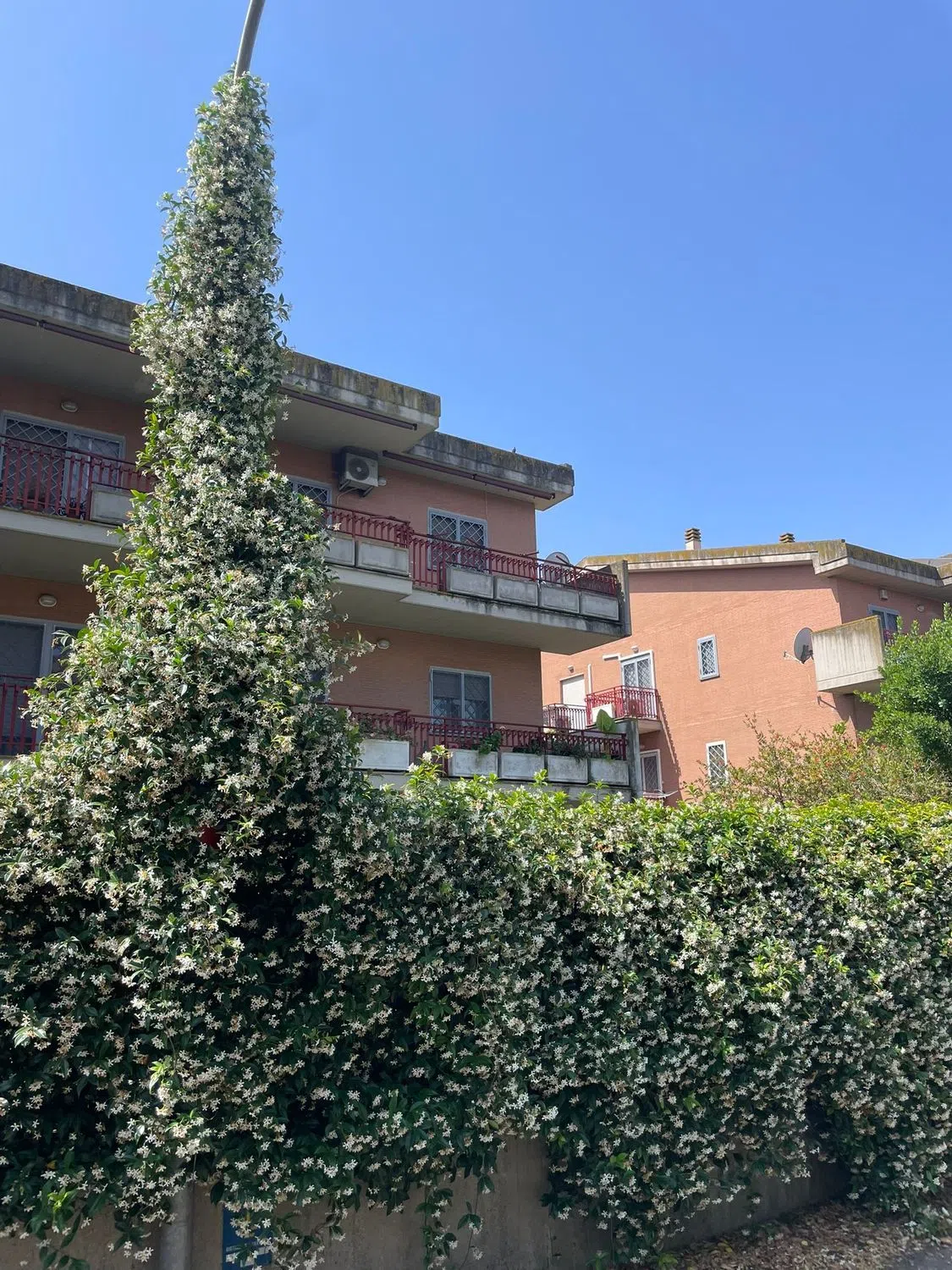 Appartamento in via Andrea Millevoi, 801 - Photo 15