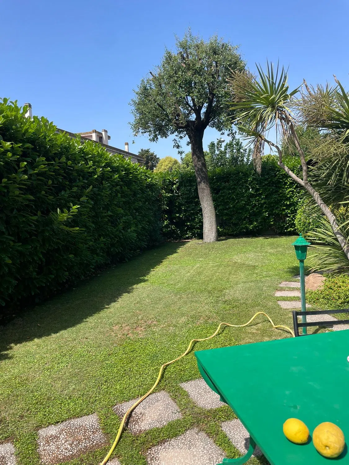 Appartamento in via Andrea Millevoi, 801 - Photo 6