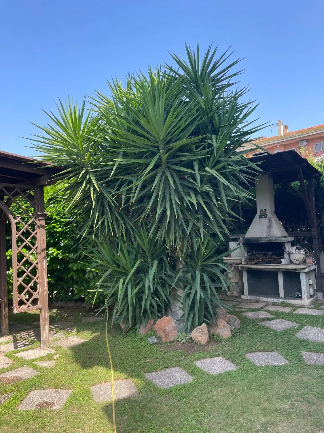 Appartamento in via Andrea Millevoi, 801 - Photo 9