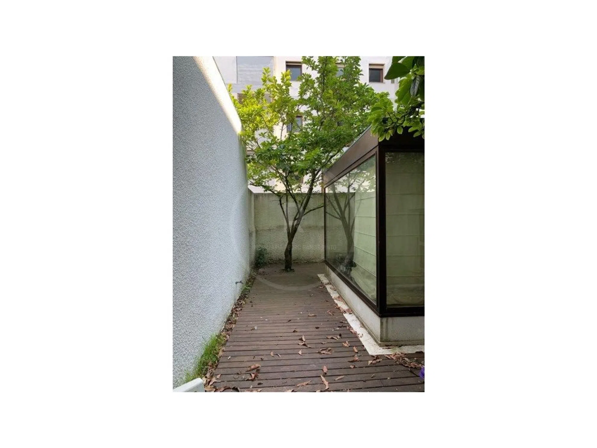 Apartamento - Photo 5
