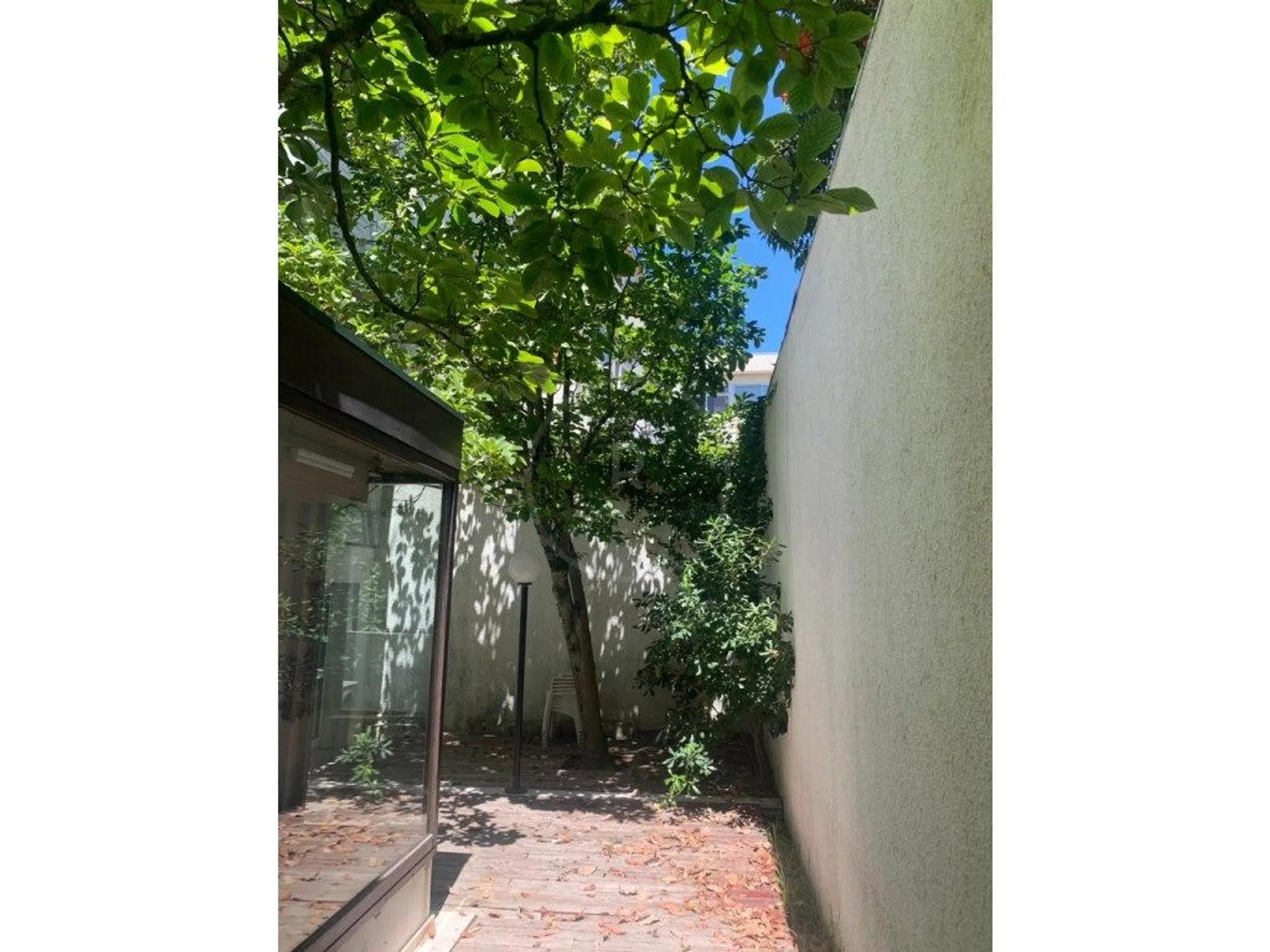 Apartamento - Photo 8