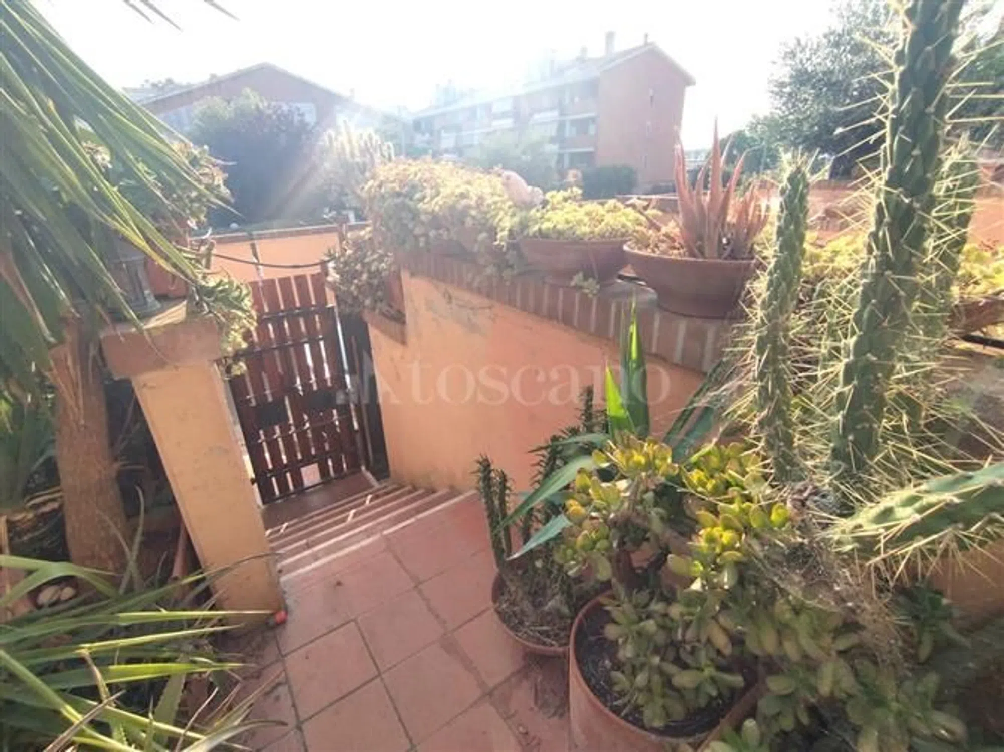 Villa in via Domenico Purificato - Photo 3