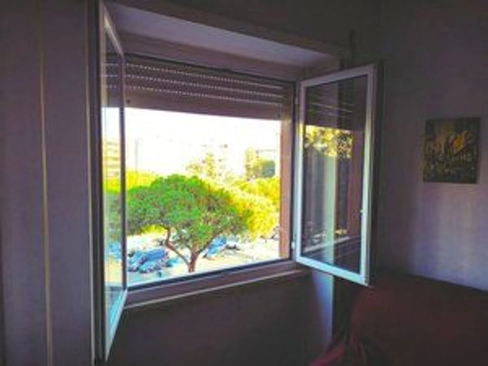 Quadrilocale in via Augusto Vera s.n.c. - Photo 13