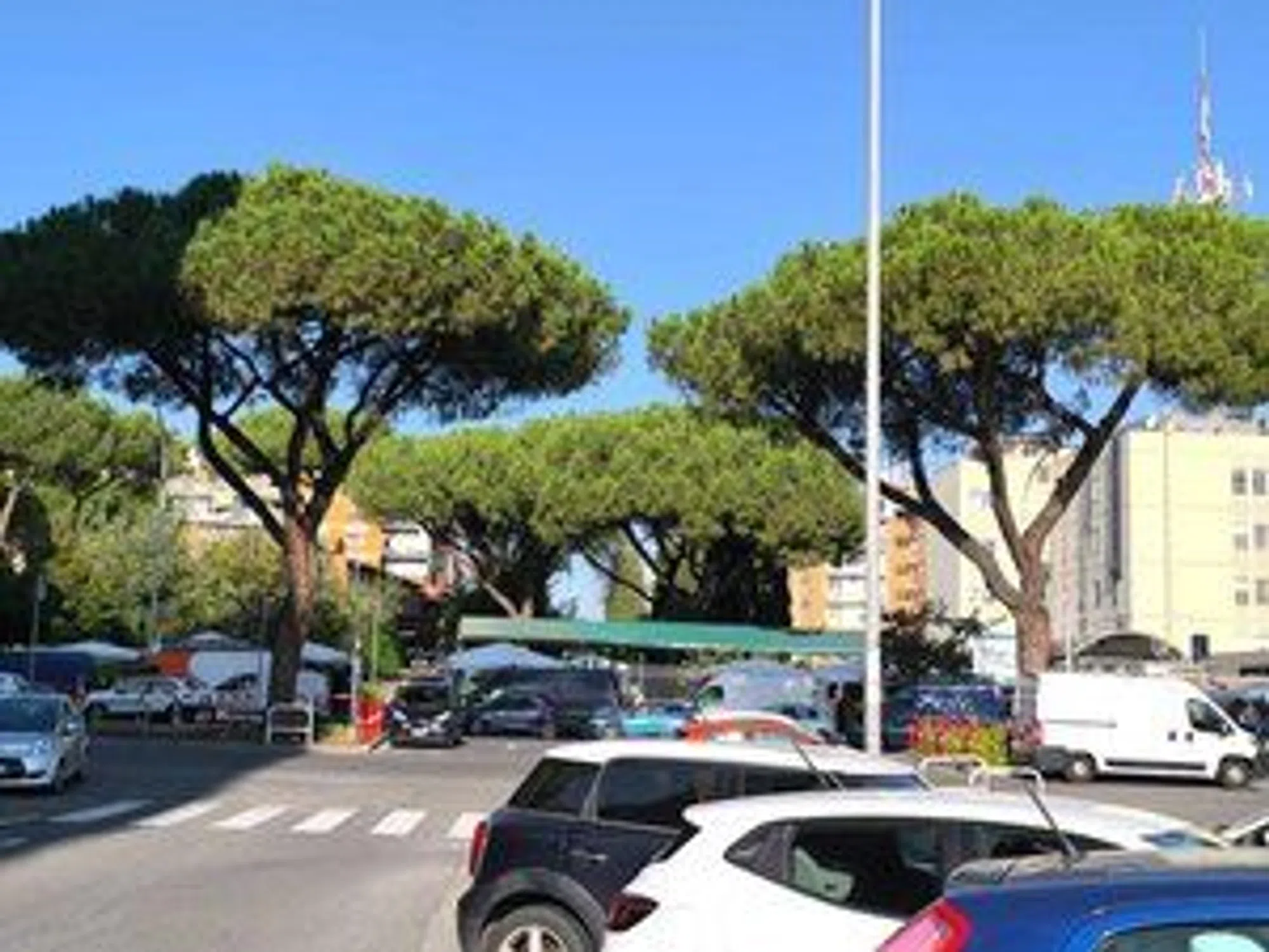 Quadrilocale in via Augusto Vera s.n.c. - Photo 4