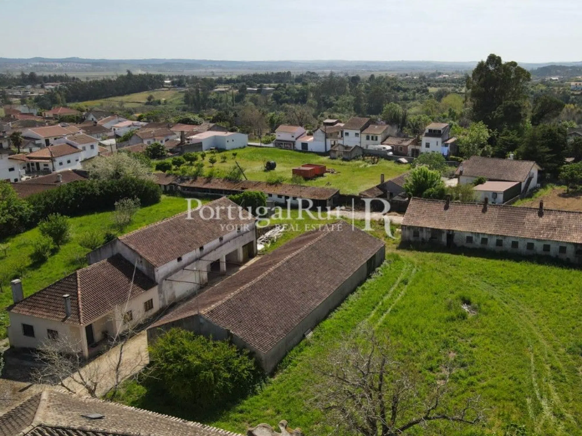 Quinta - Photo 5