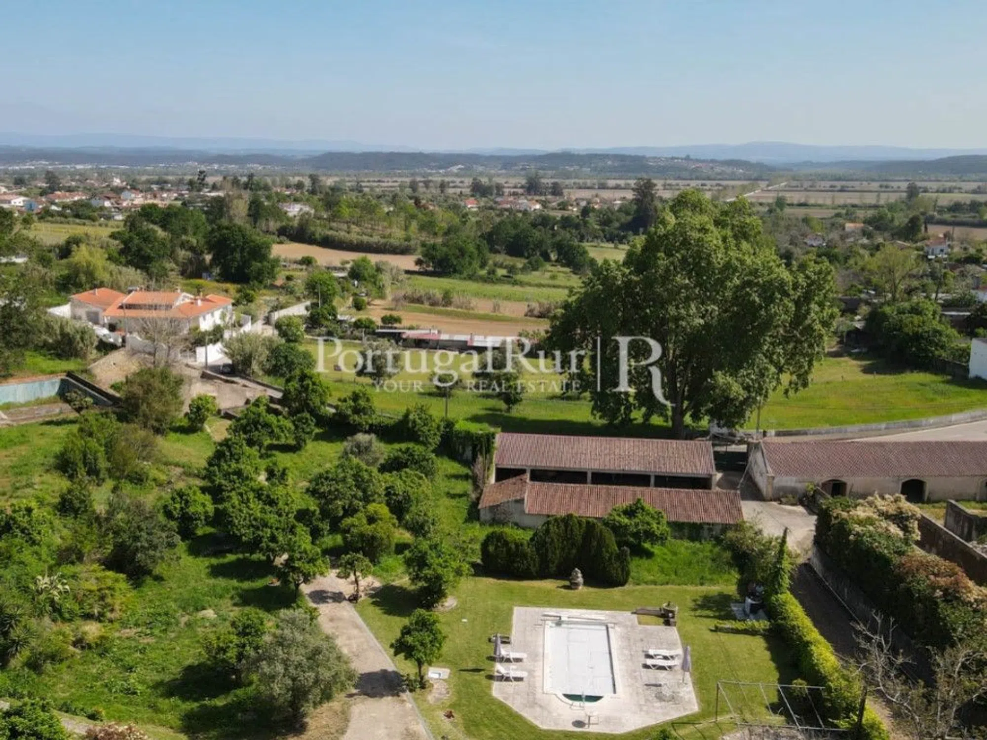 Quinta - Photo 6