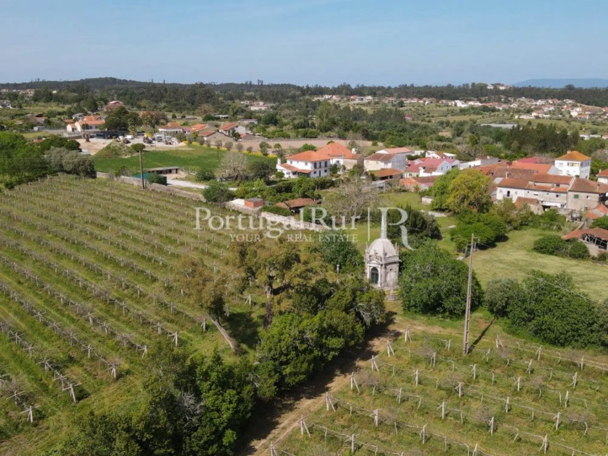Quinta - Photo 9