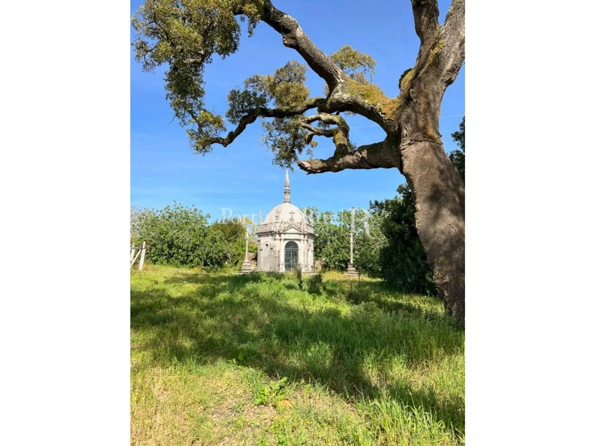 Quinta - Photo 10