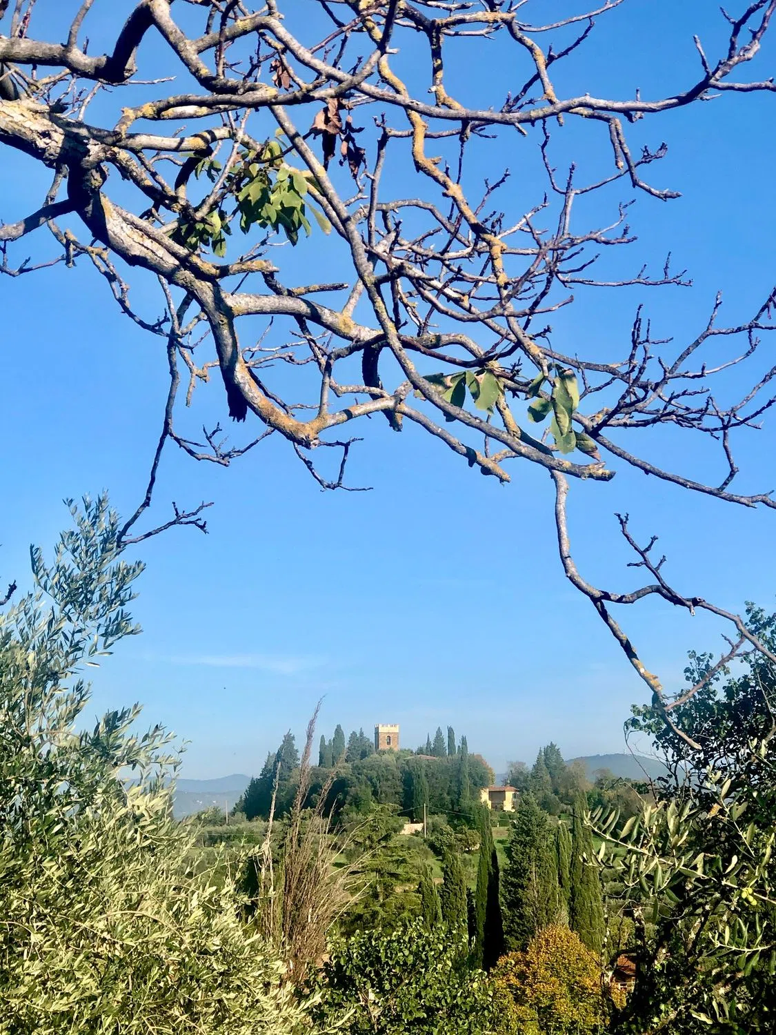 Villa in piazzale Michelangelo, 1 - Photo 6
