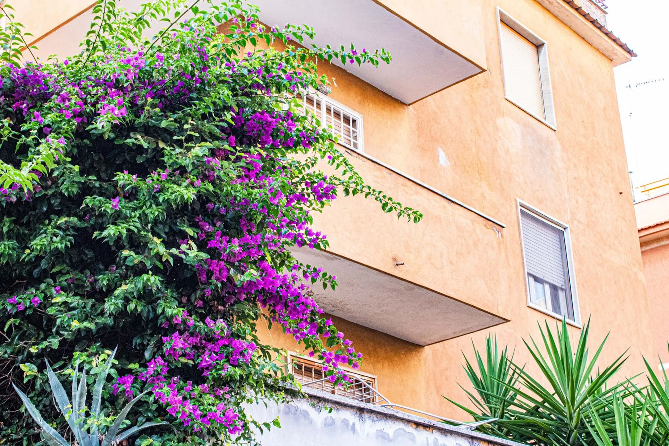 Bilocale in via Filippo Maria Renazzi s.n.c. - Photo 1