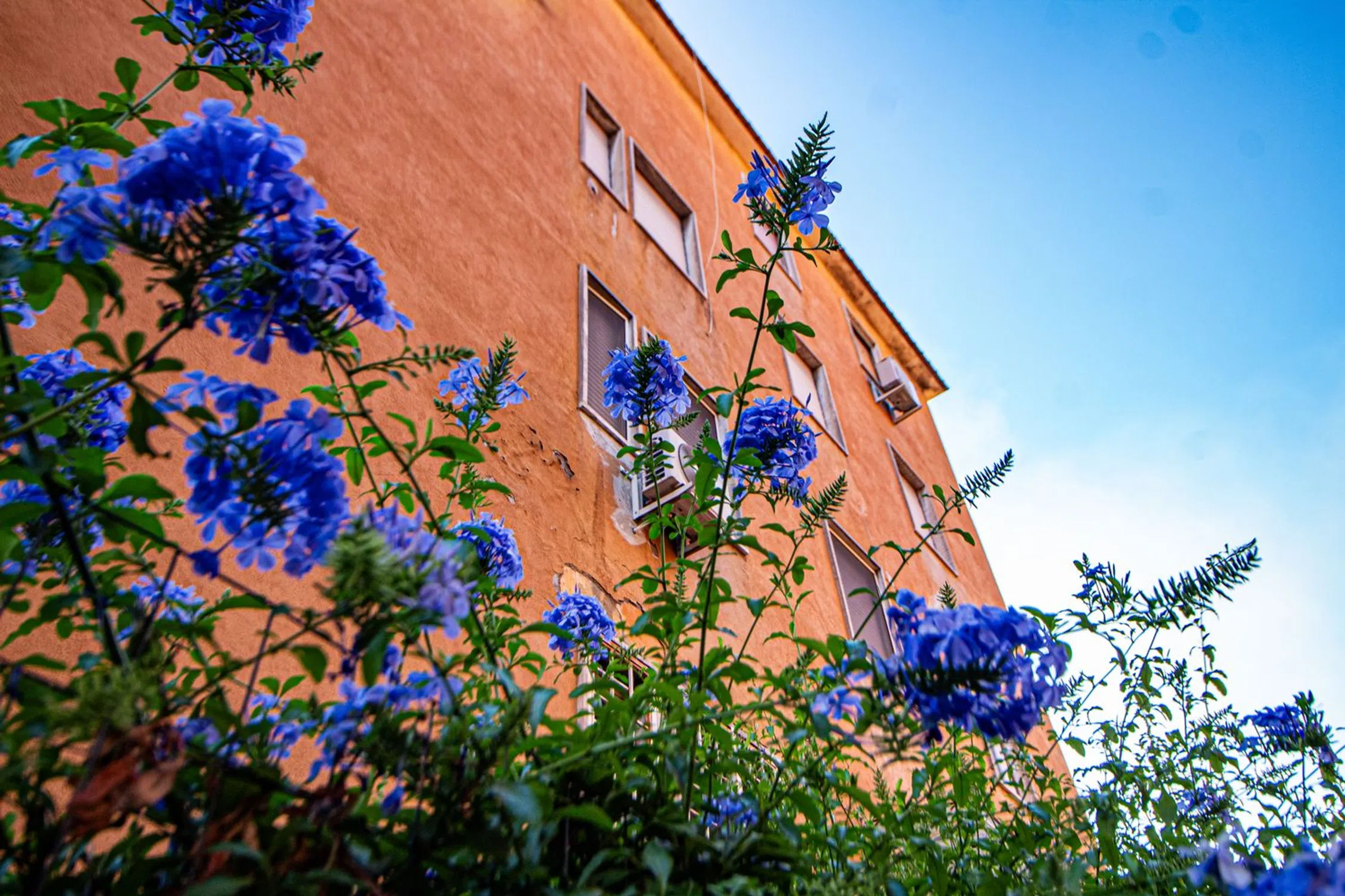 Bilocale in via Filippo Maria Renazzi s.n.c. - Photo 3