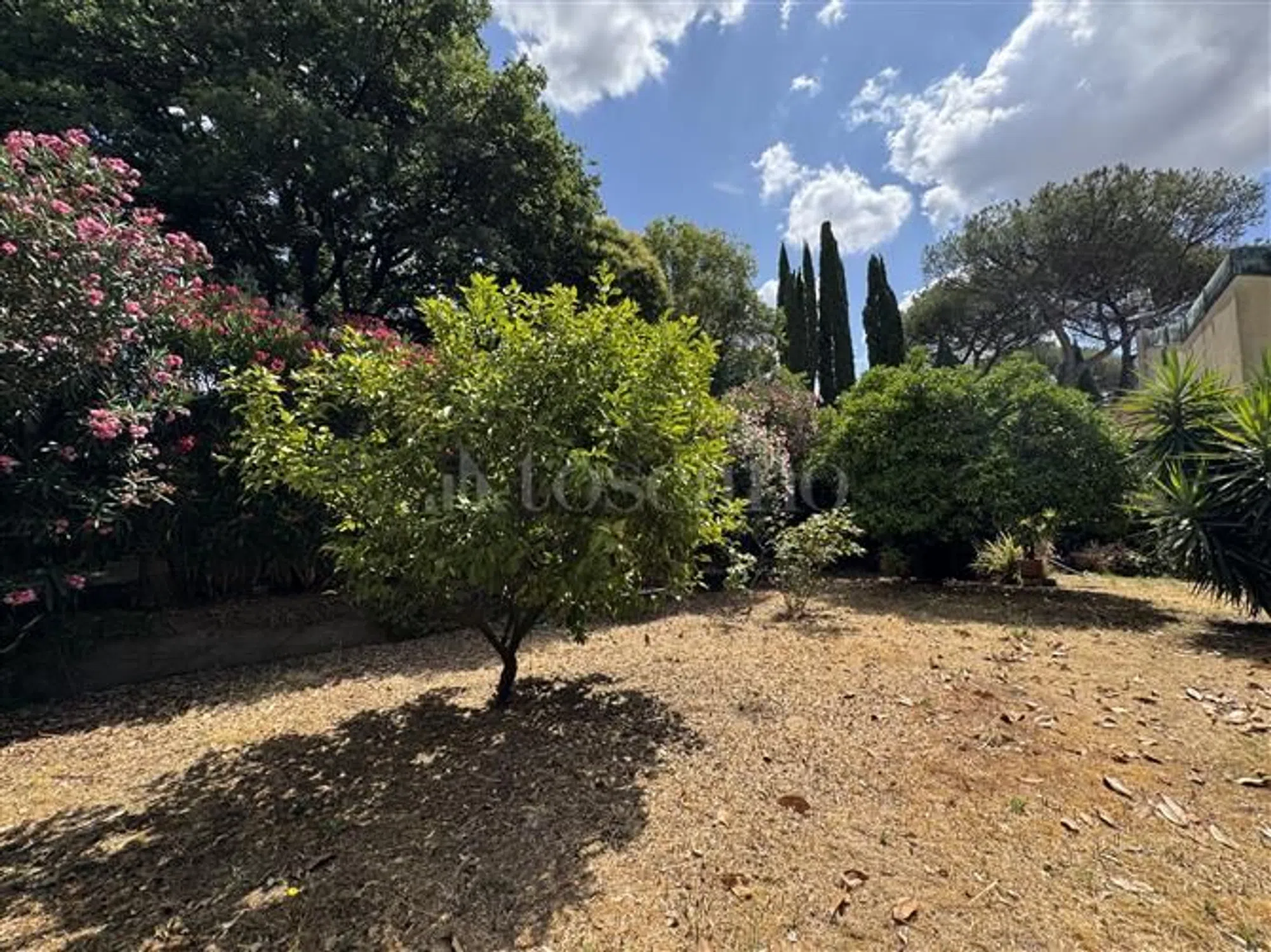 Villa in via Appia Antica - Photo 19