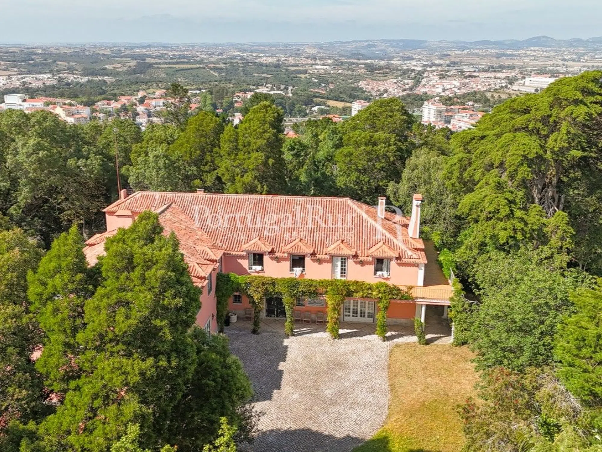 Quinta - Photo 1