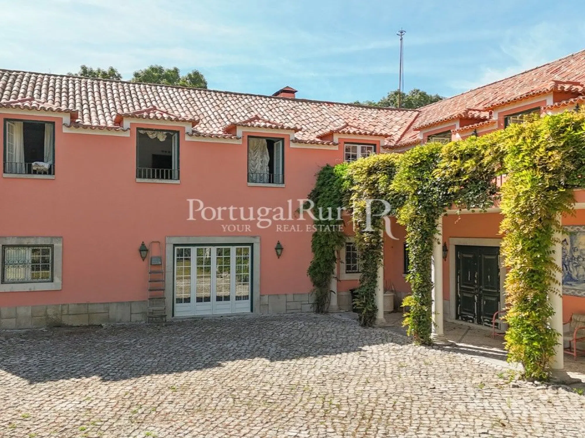 Quinta - Photo 4