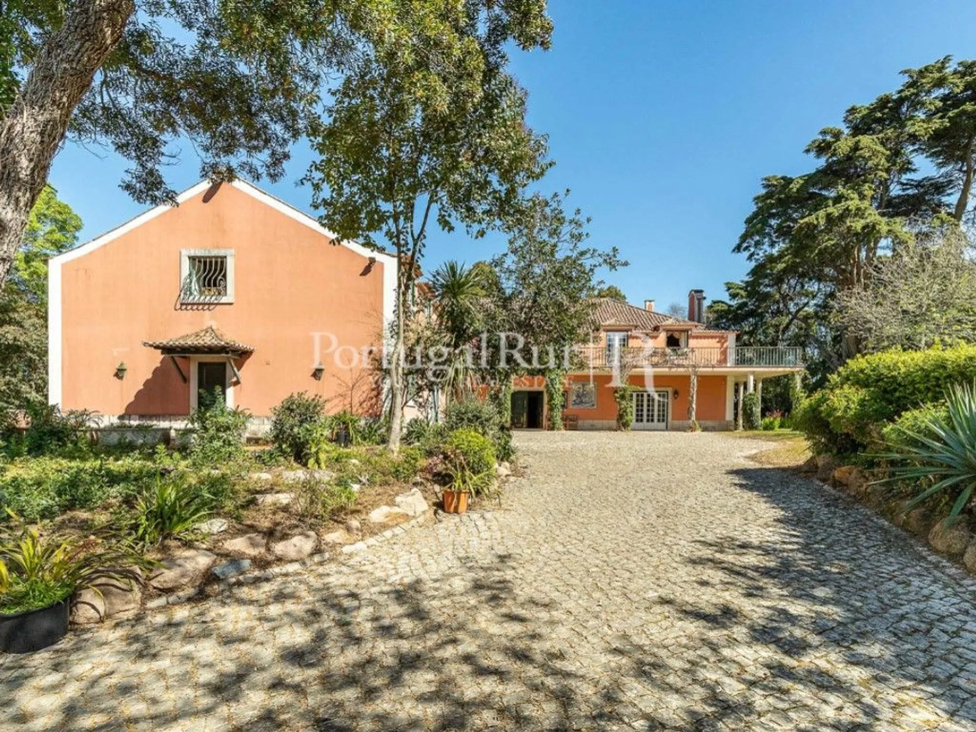 Quinta - Photo 5