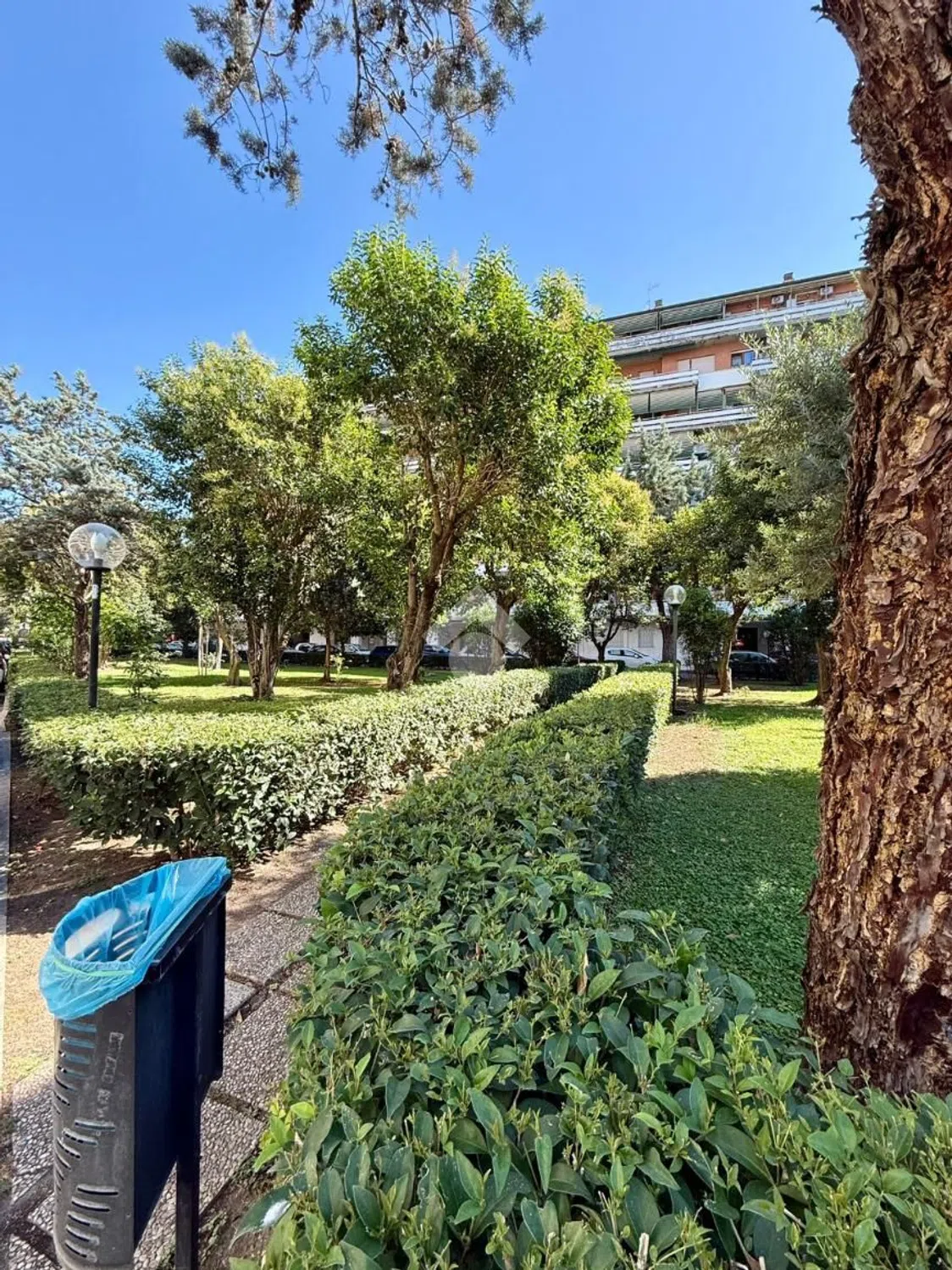 Trilocale in via di Casal dei Pazzi, 20 - Photo 8