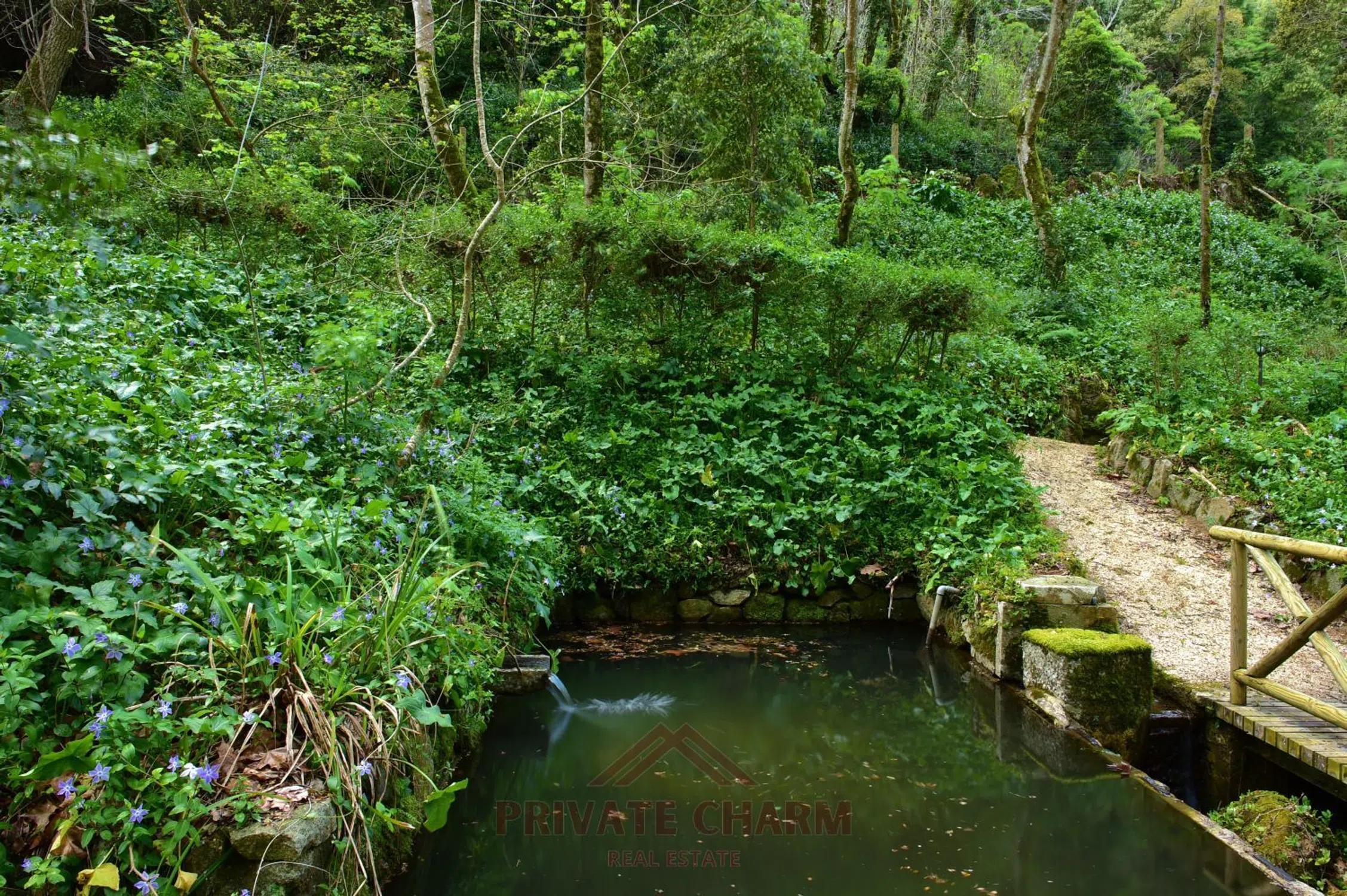Quinta na estrada da Pena, 8 - Photo 15