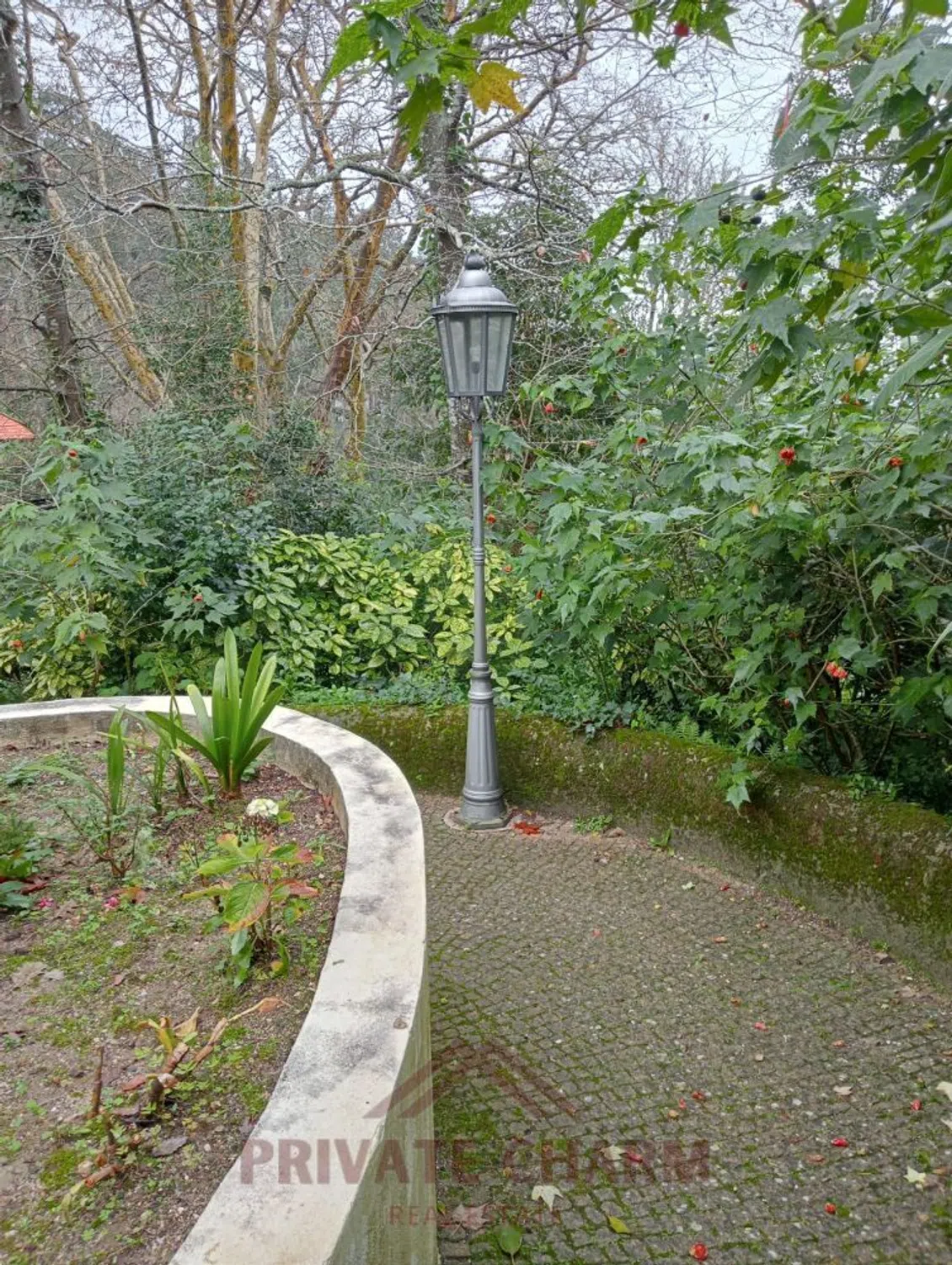 Quinta na estrada da Pena, 8 - Photo 16