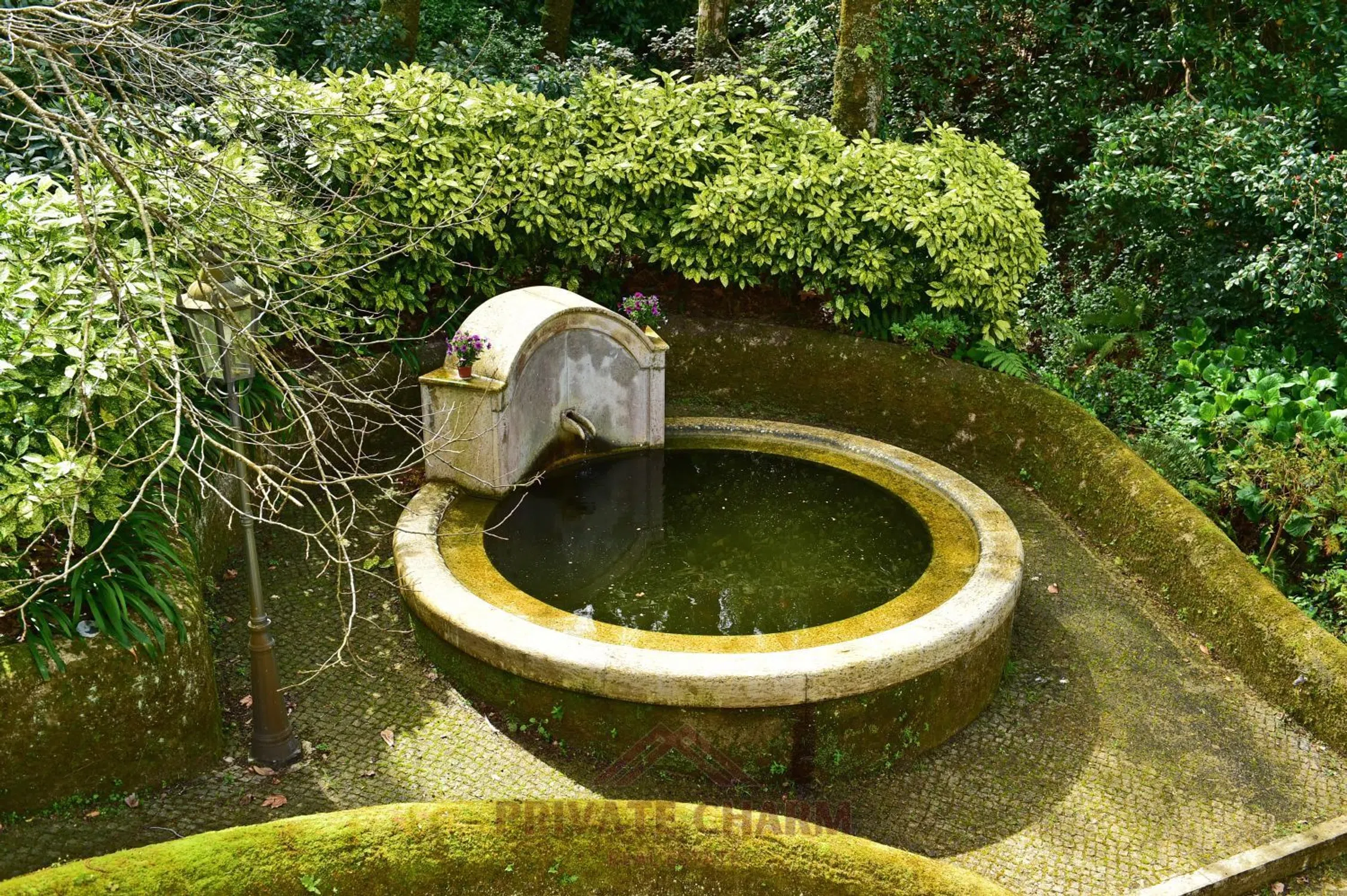 Quinta na estrada da Pena, 8 - Photo 17