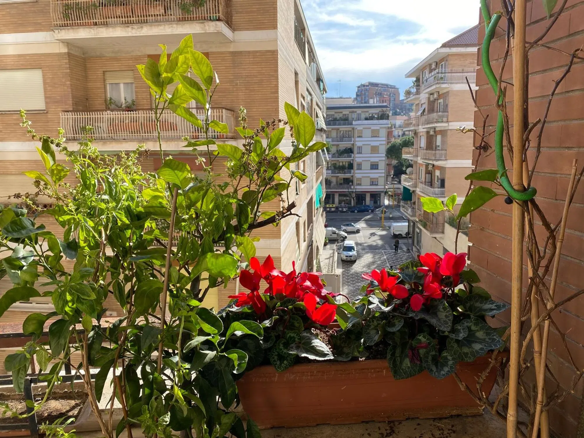 Appartamento in via Anastasio II, 120 - Photo 6