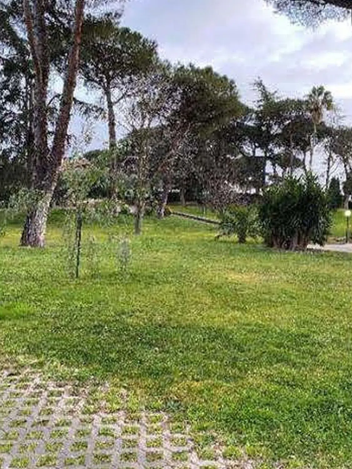 Villa in via Casali delle Cornacchiole, 105 - Photo 2