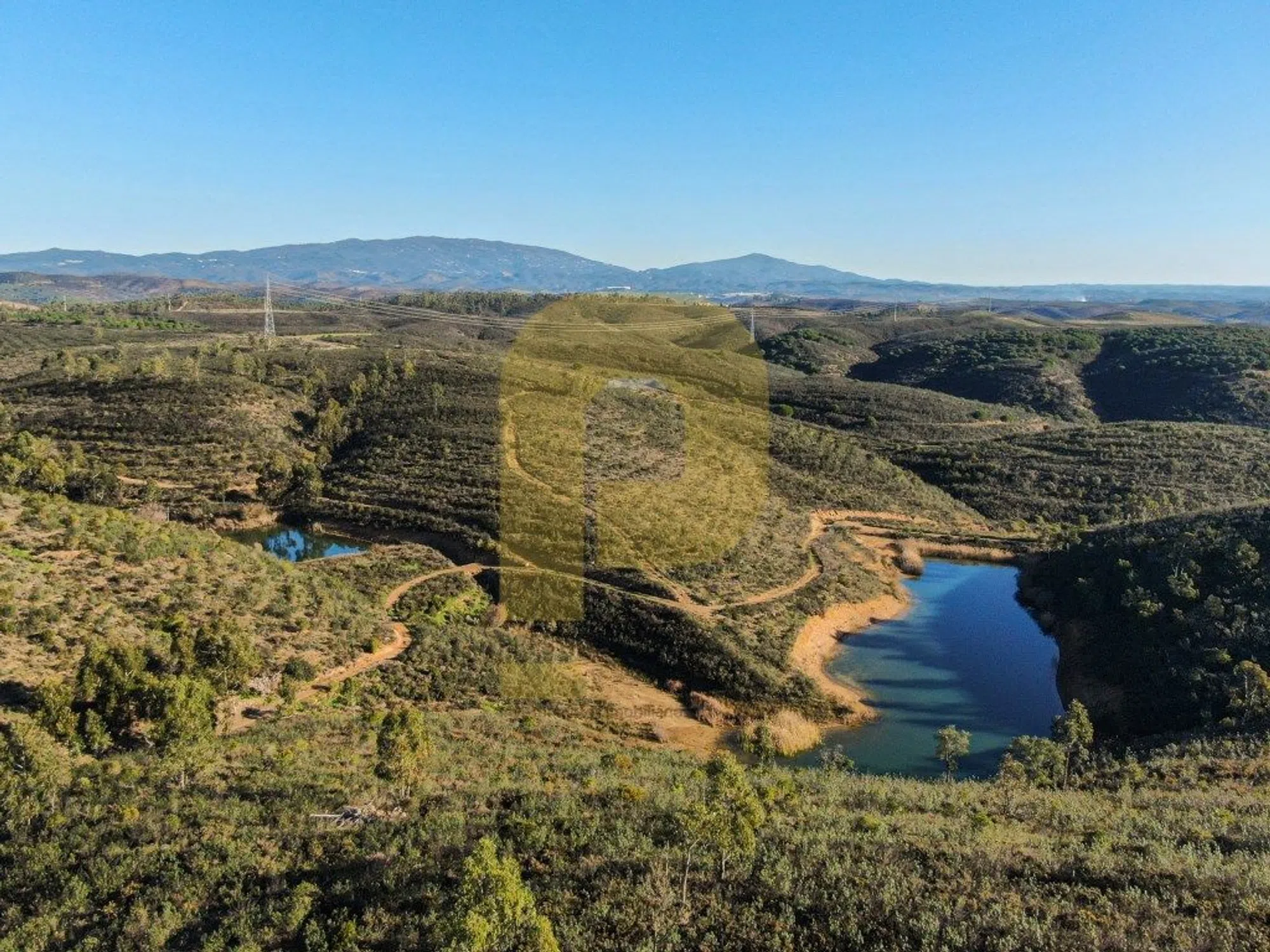 Herdade - Photo 18