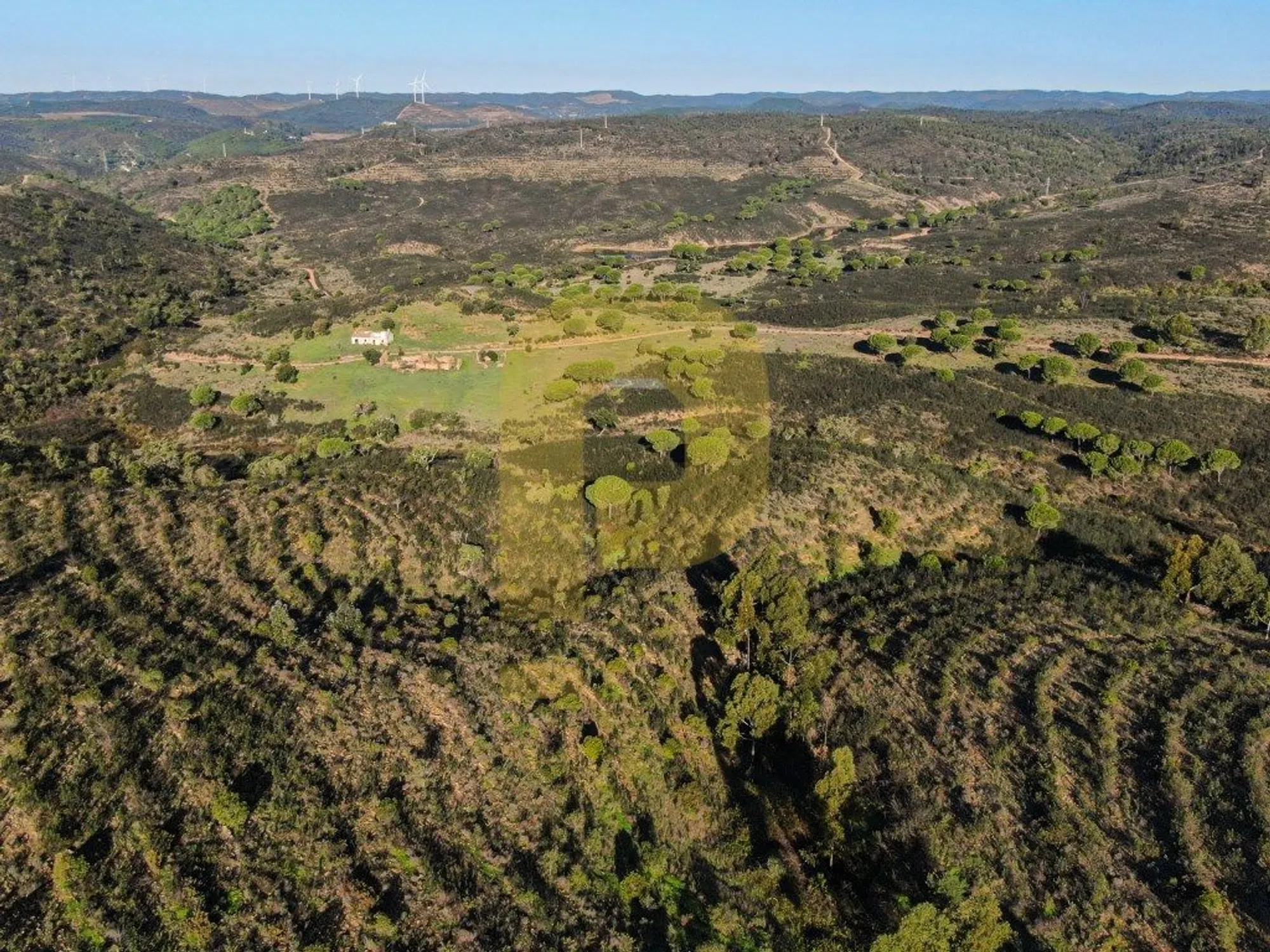 Herdade - Photo 19