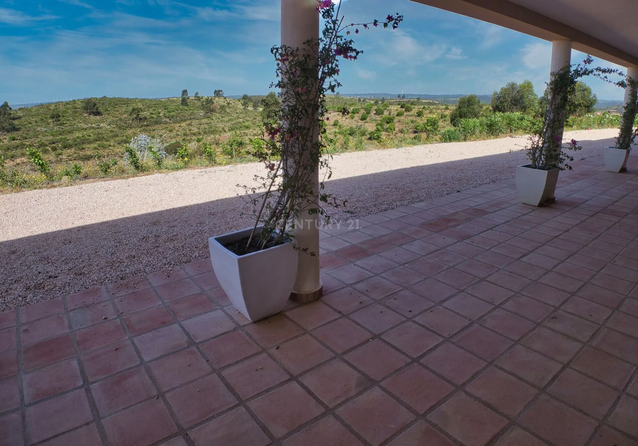 Quinta - Photo 15