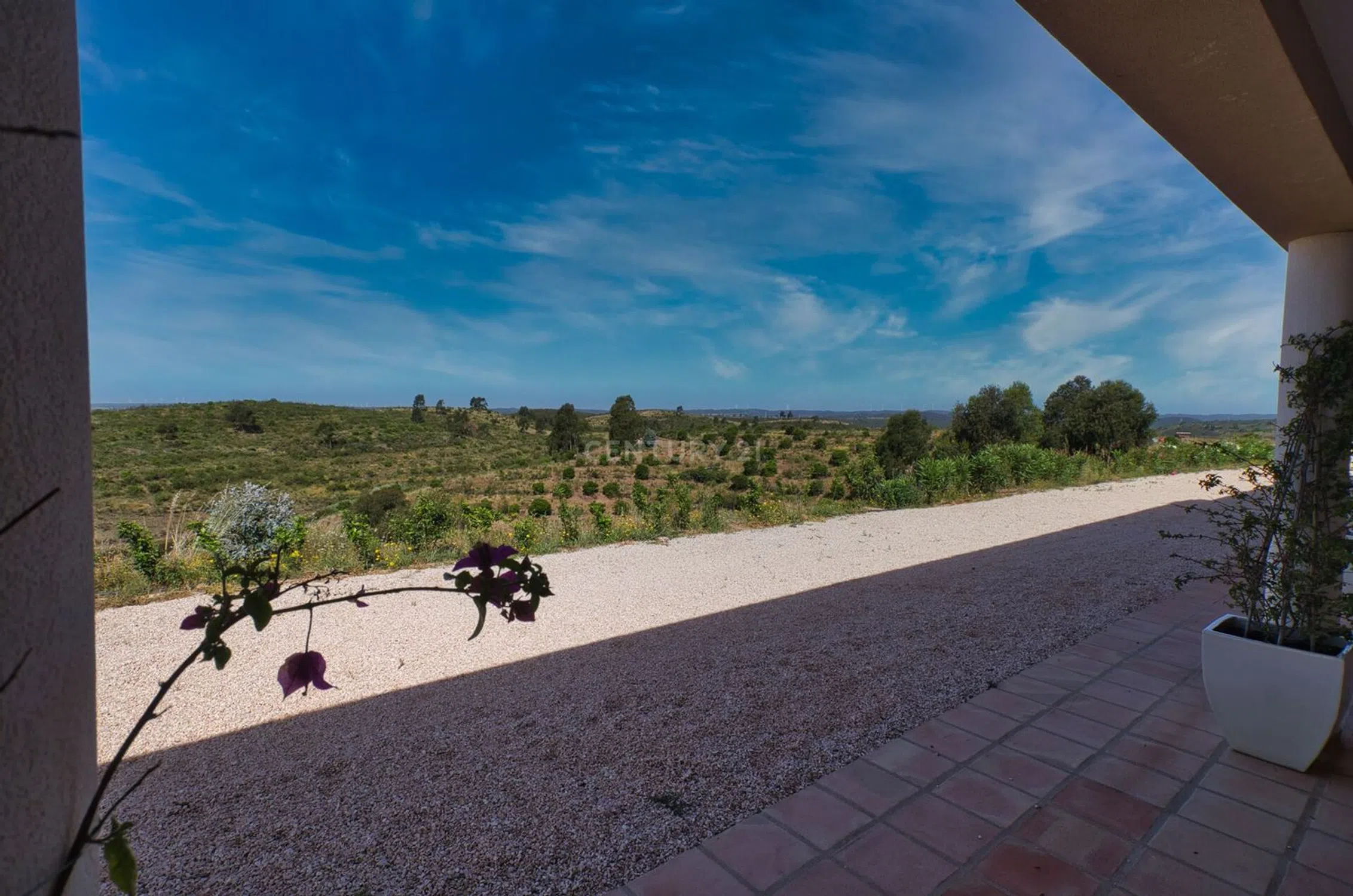 Quinta - Photo 19