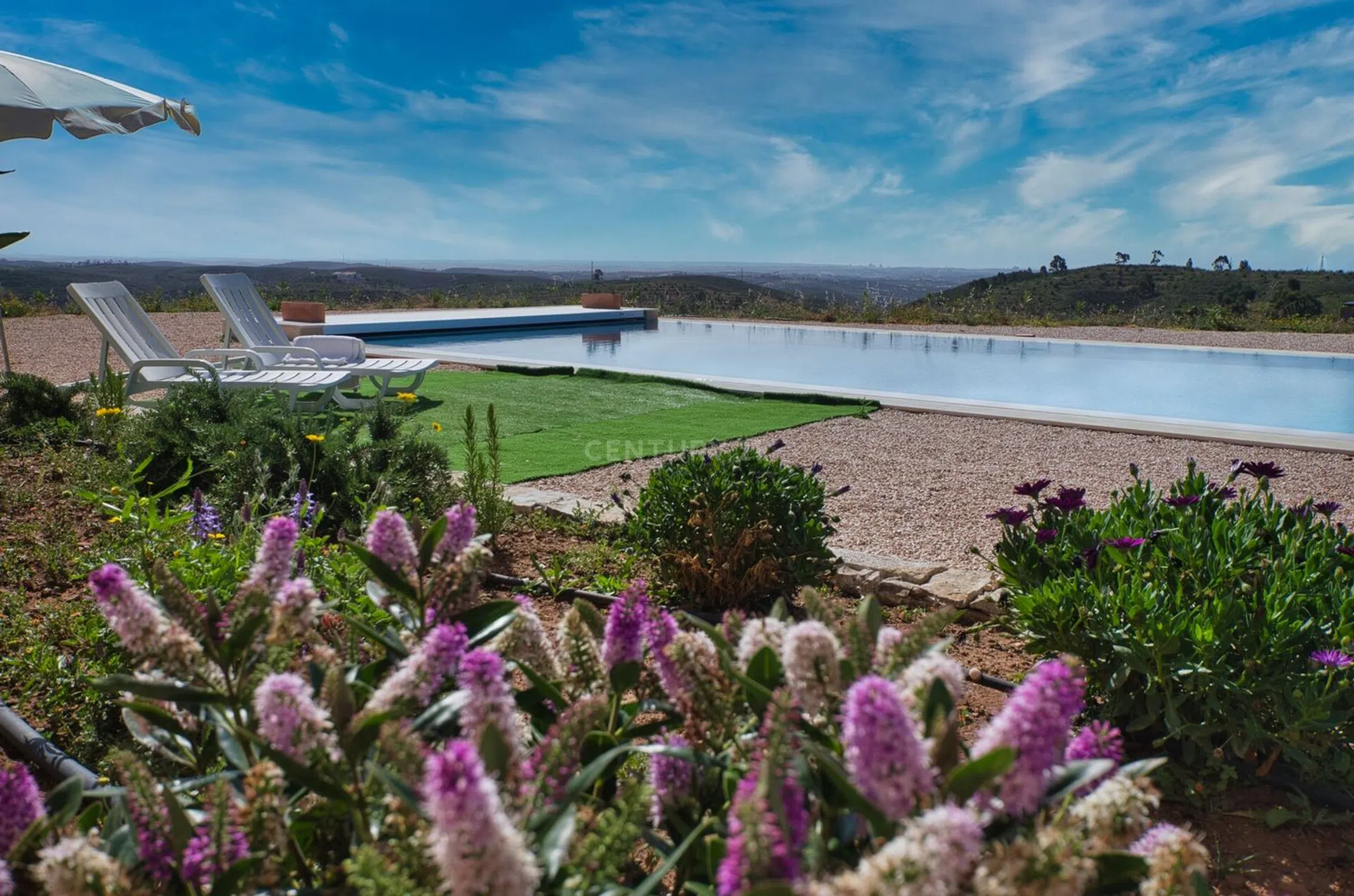 Quinta - Photo 4