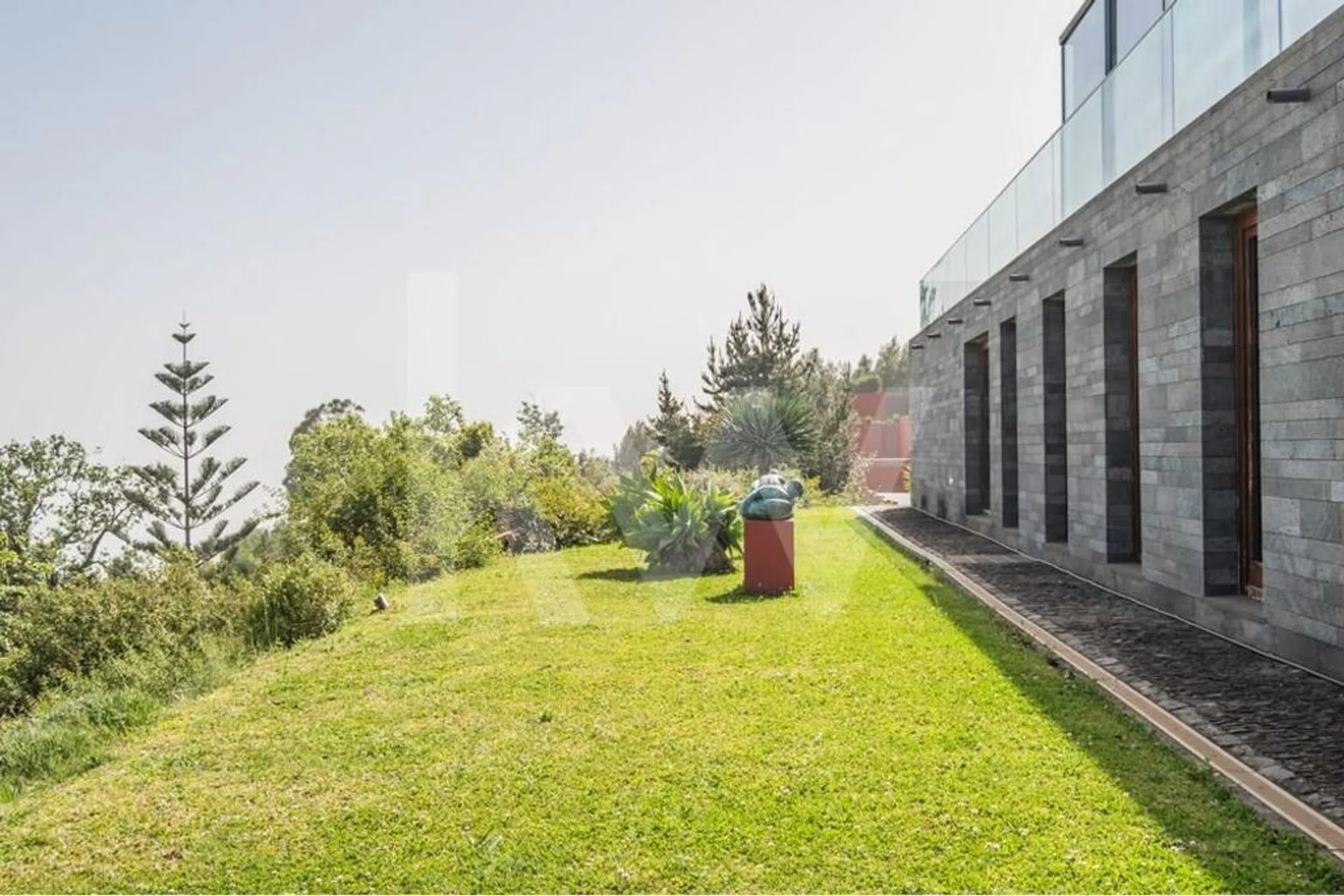 Quinta - Photo 4
