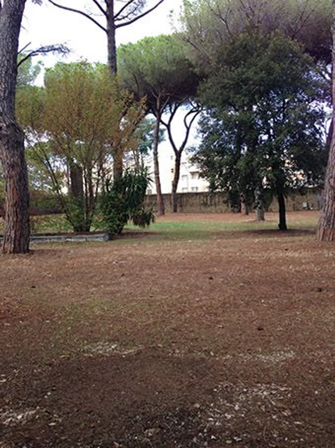 Casa indipendente in via Raffaele Majetti s.n.c. - Photo 2
